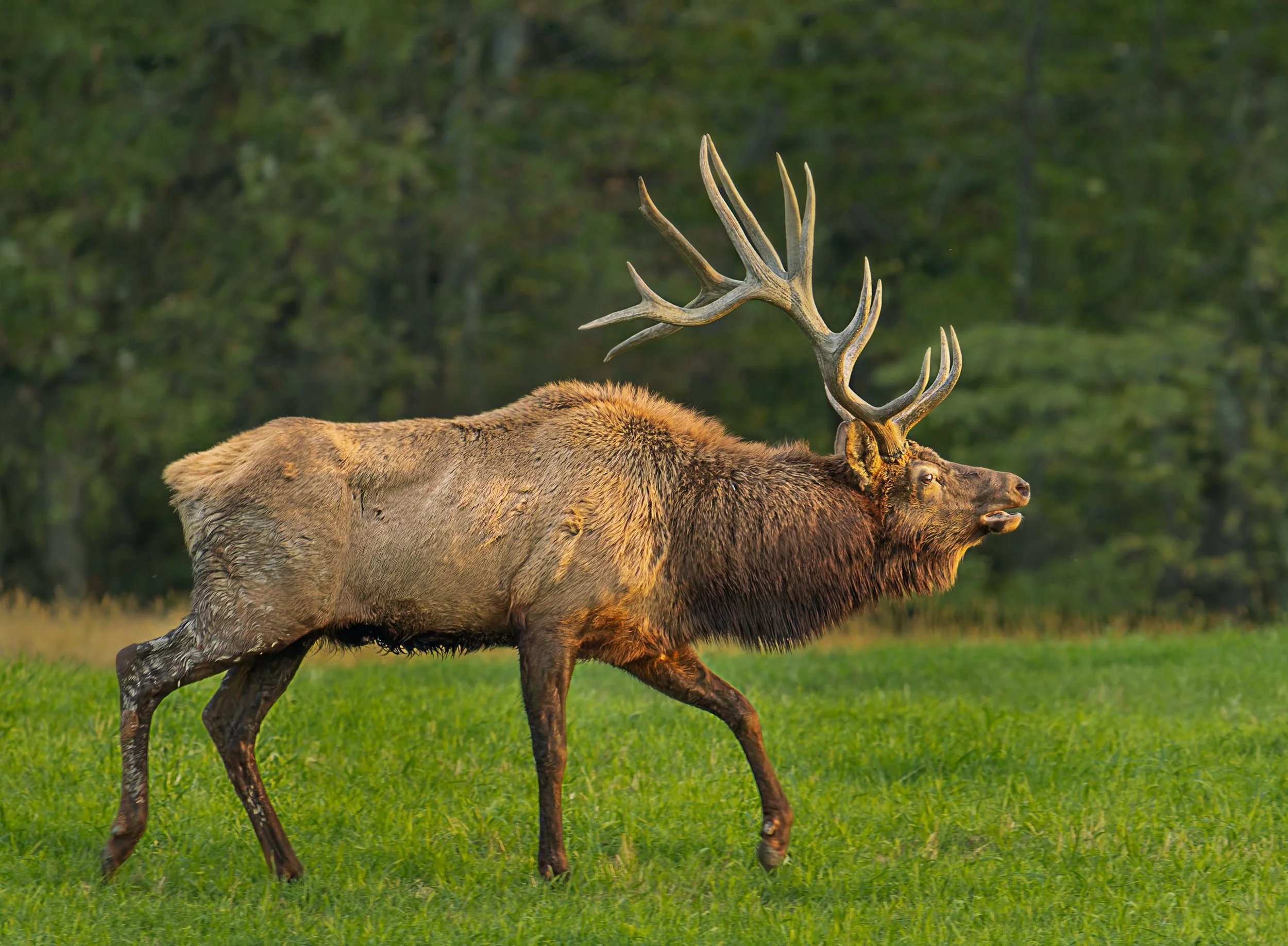 T8358791b-DxO_DeepPRIME XD2s.jpg