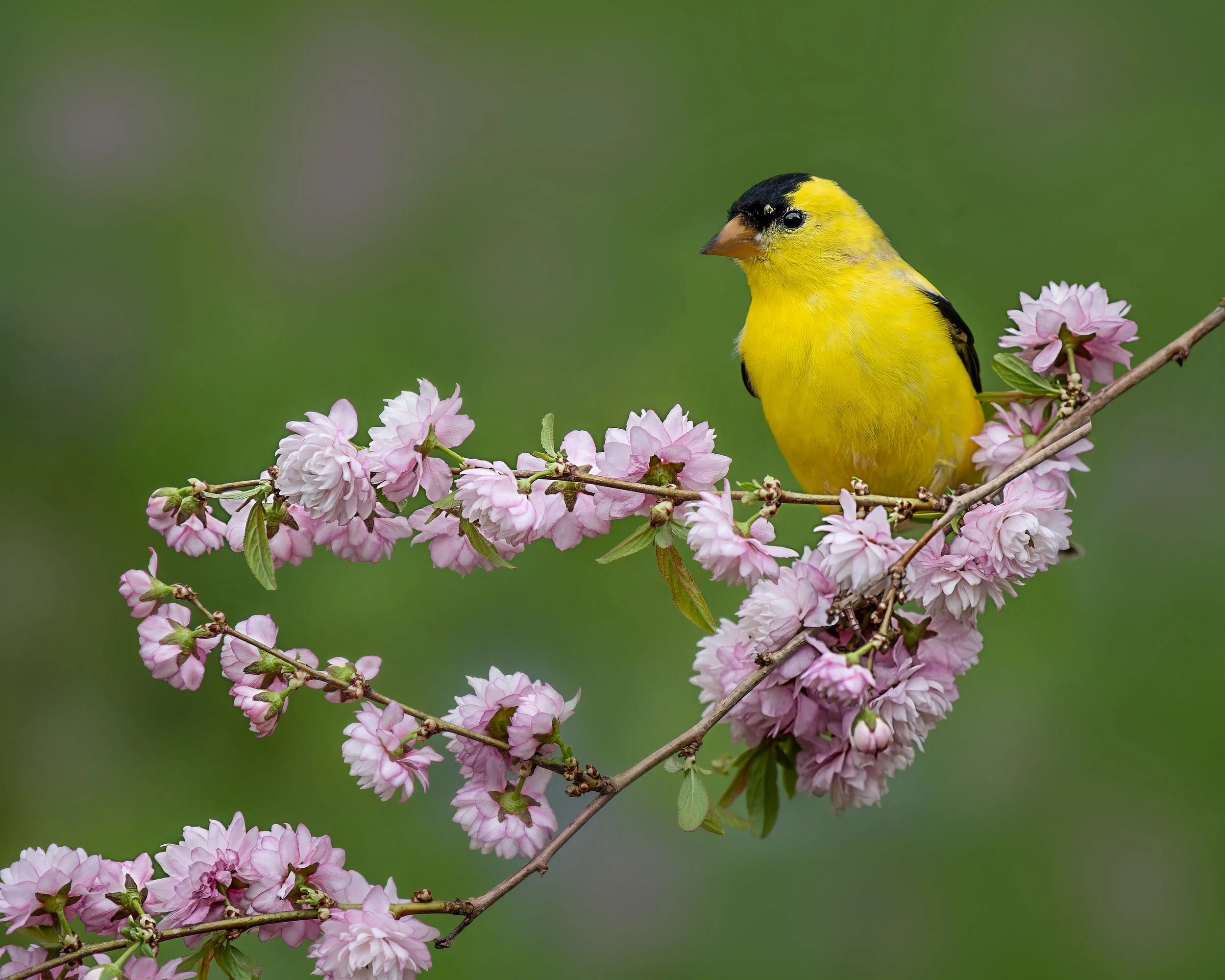 Cuchara-extra-not macro-8204_042023_093401_OM1L-937.jpg