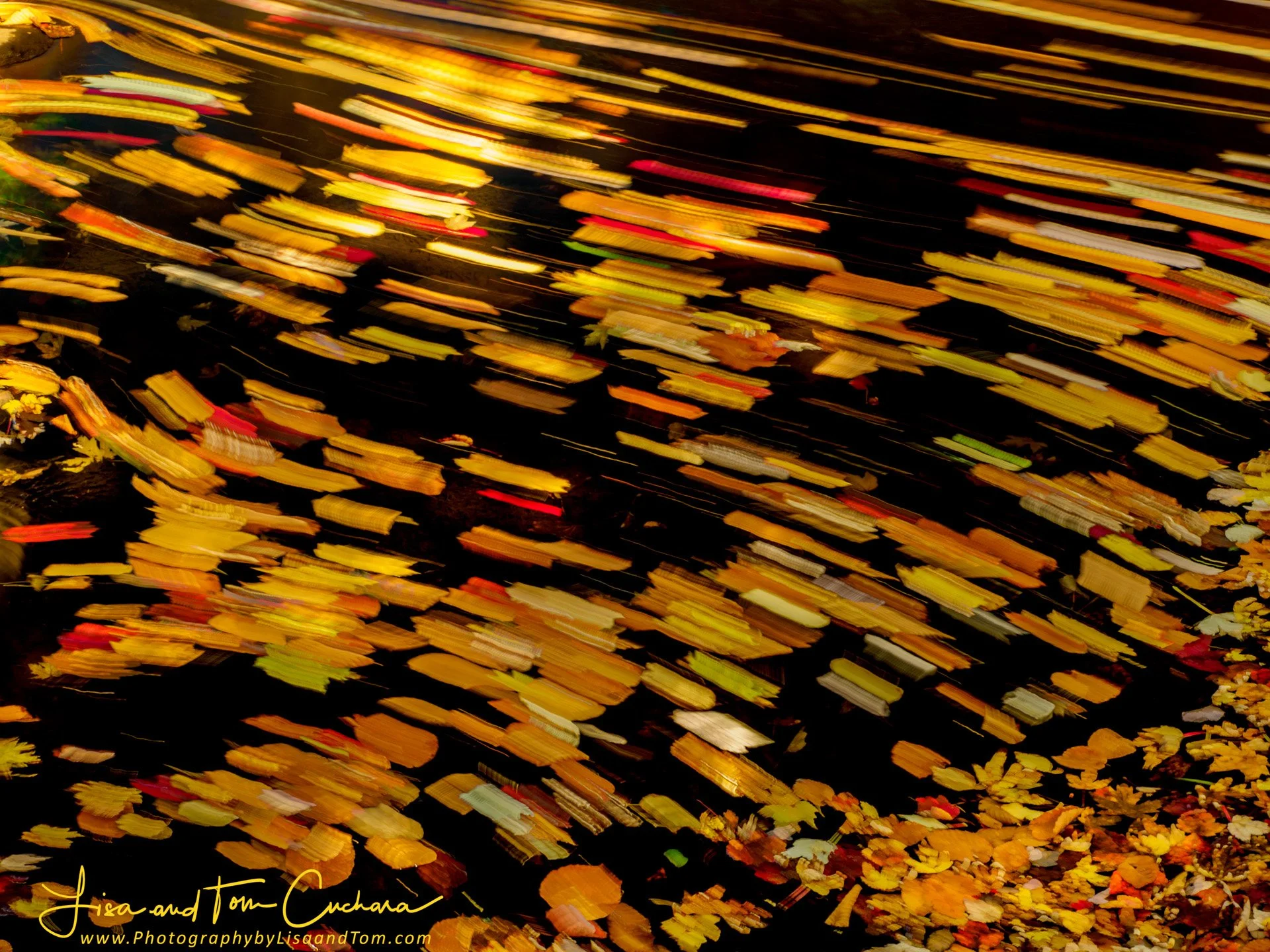 80995bw_100921_110024_EM1M3L768 copy.jpeg