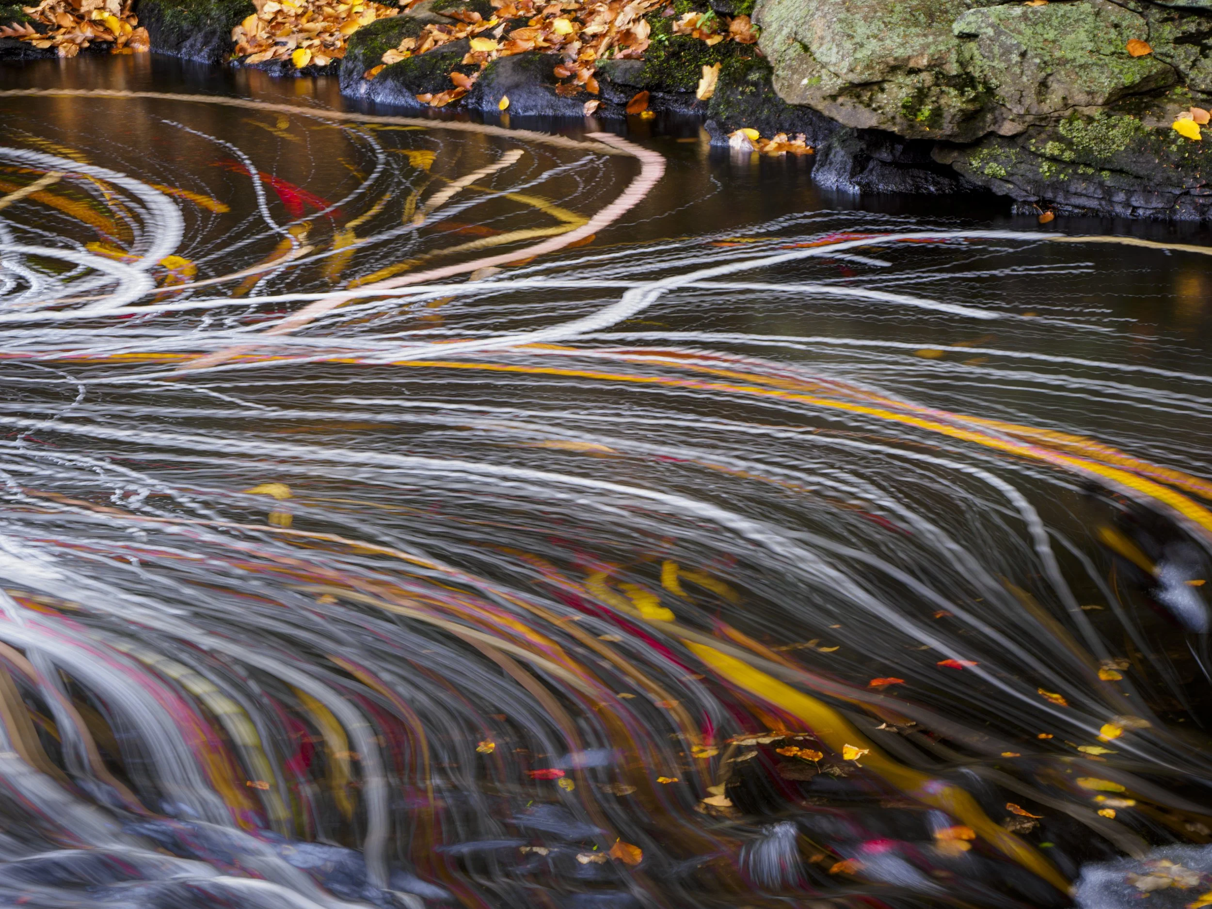 80172_102521_152142_EM1M3L768 copy.jpg