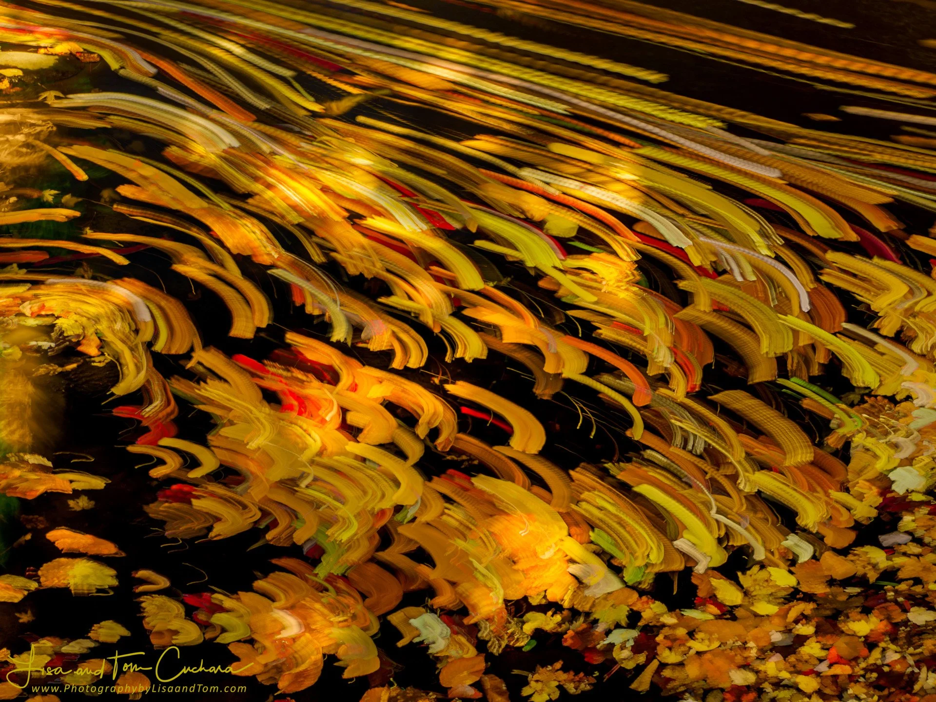 80996w_100921_110040_EM1M3L768 copy.jpeg