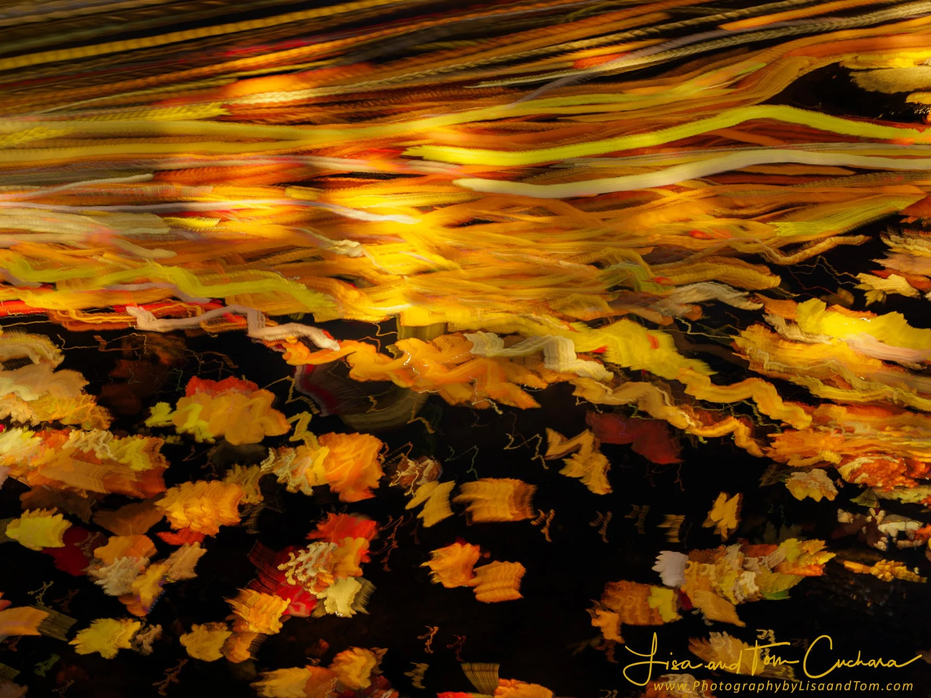 80998w_100921_110157_EM1M3L768 copy.jpeg