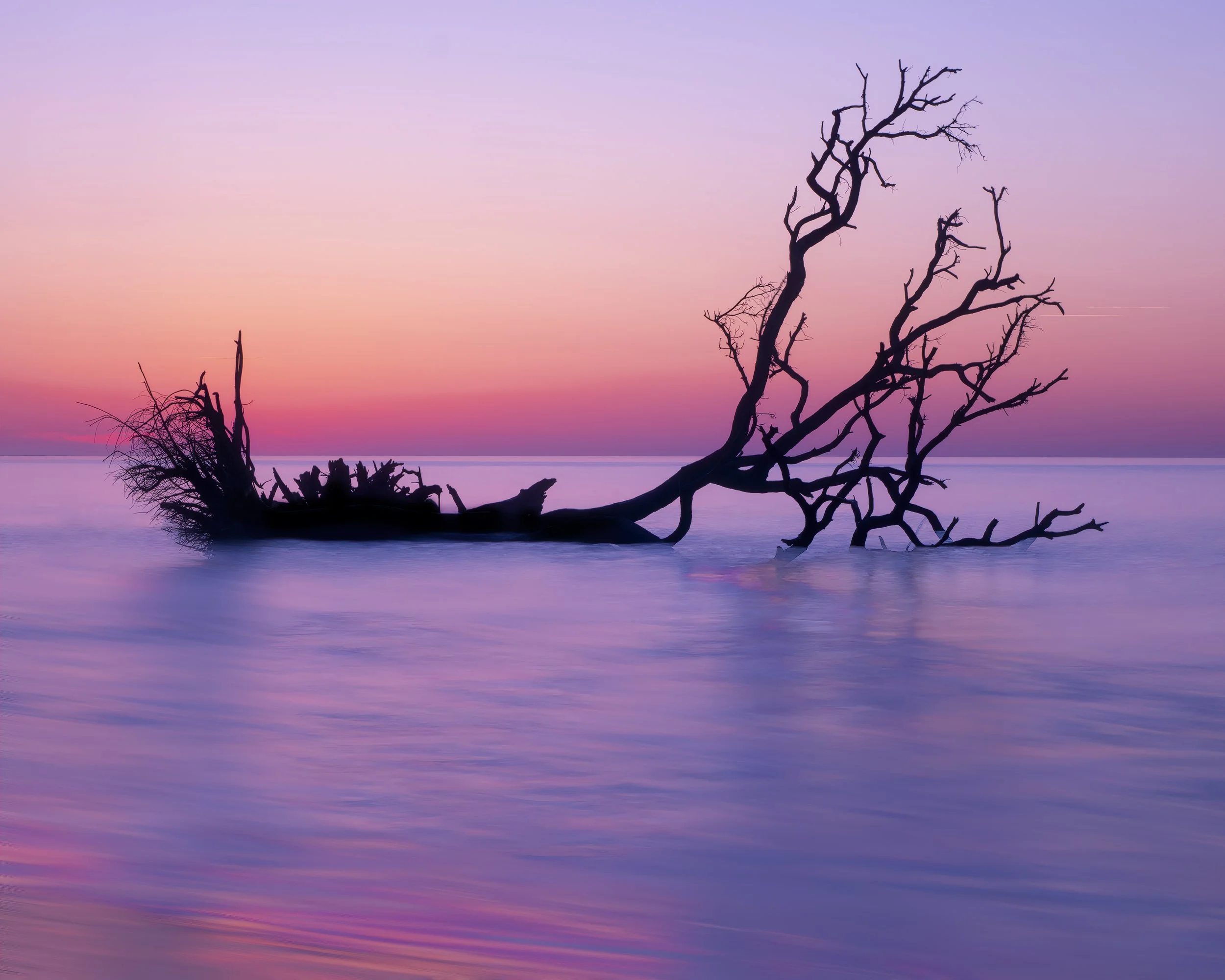 0416_031822_072416_OM1L-937 copy.jpg