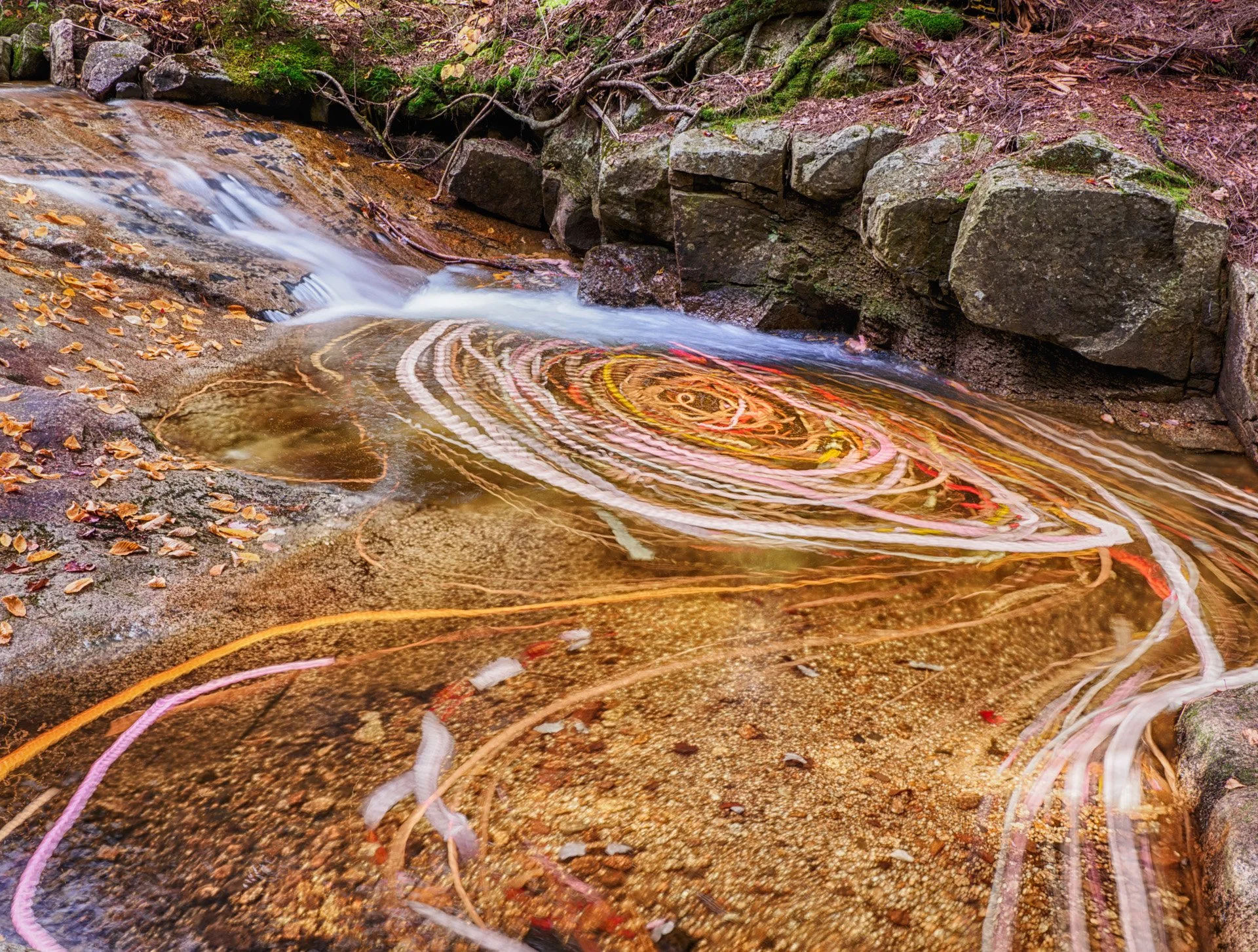 82392_101121_133106_EM1M3L768 copy.jpeg