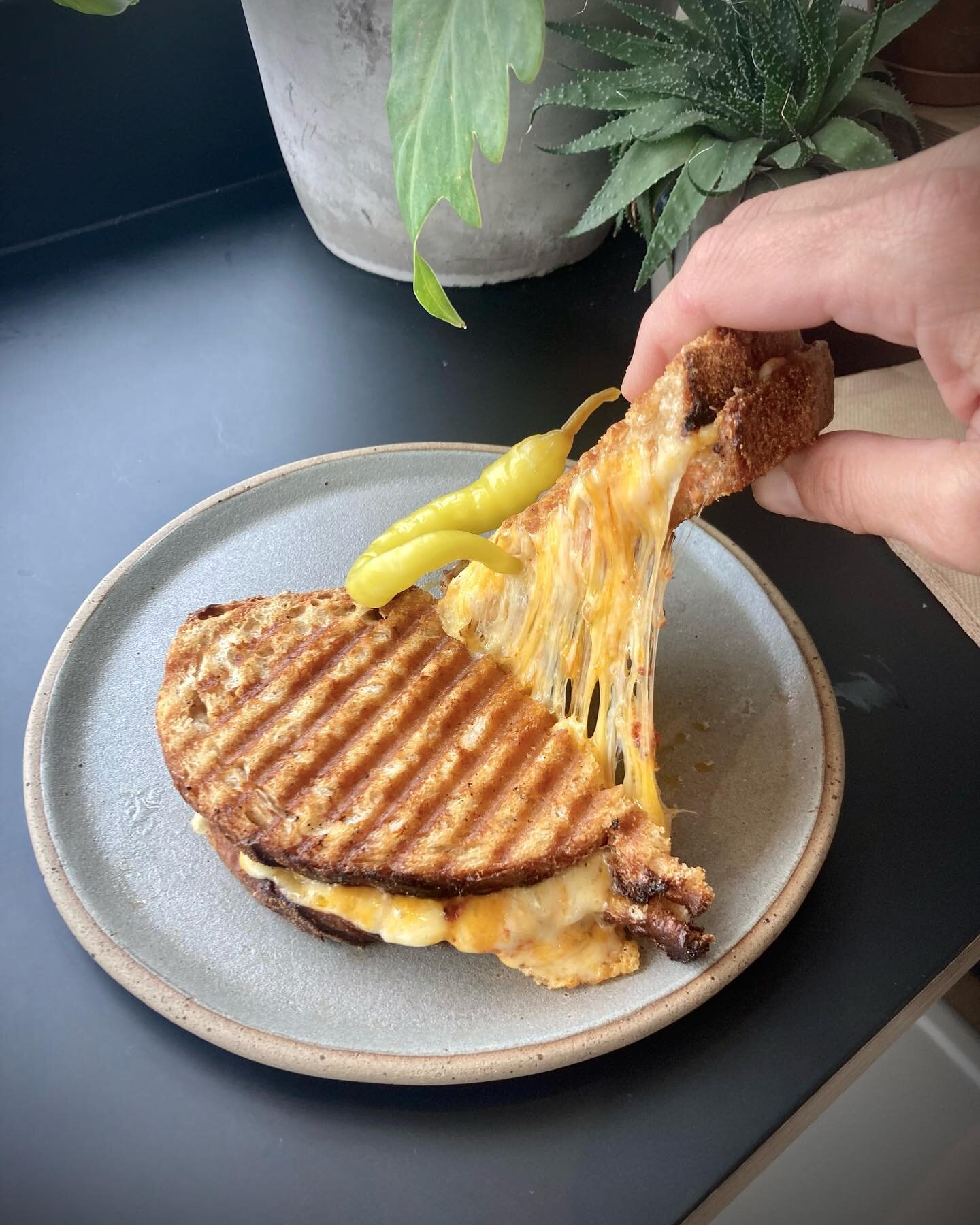 SWEET CHEESUS!⁣
⁣
3 🧀 toastie comin at ya 💥 ⁣
⁣
Available with spicy Cornish nduja or pickled gherkin.. ⁣
⁣
Coffee shop OPEN - Tuesday to Saturday 8.30am til 3pm (food served 9am-2.30pm) ⁣
⁣
⁣
⁣
⁣
⁣
#toastiewiththemostie #cheesylover #cheesesweats 