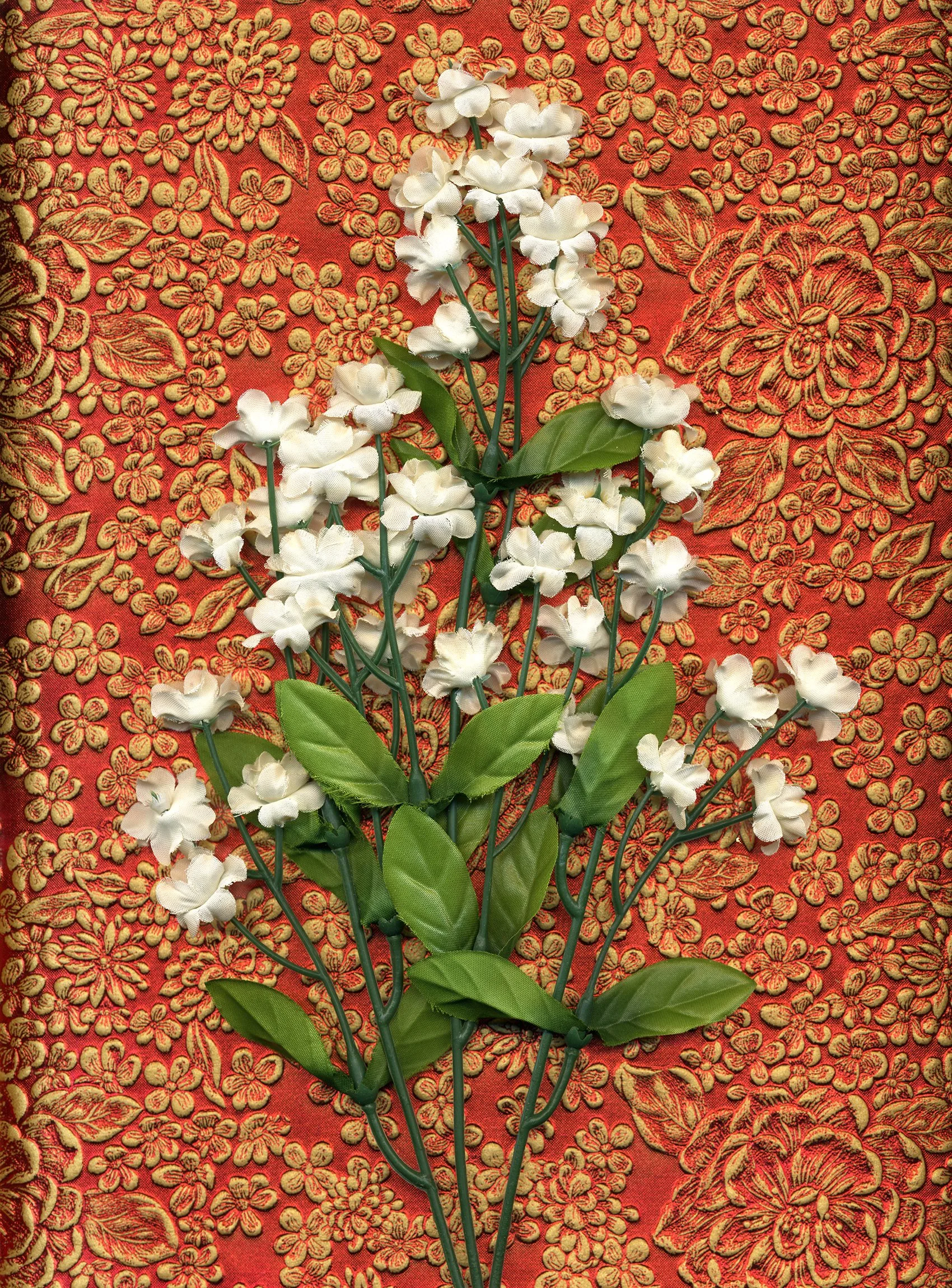 flower_texture_17.2_edit.jpg