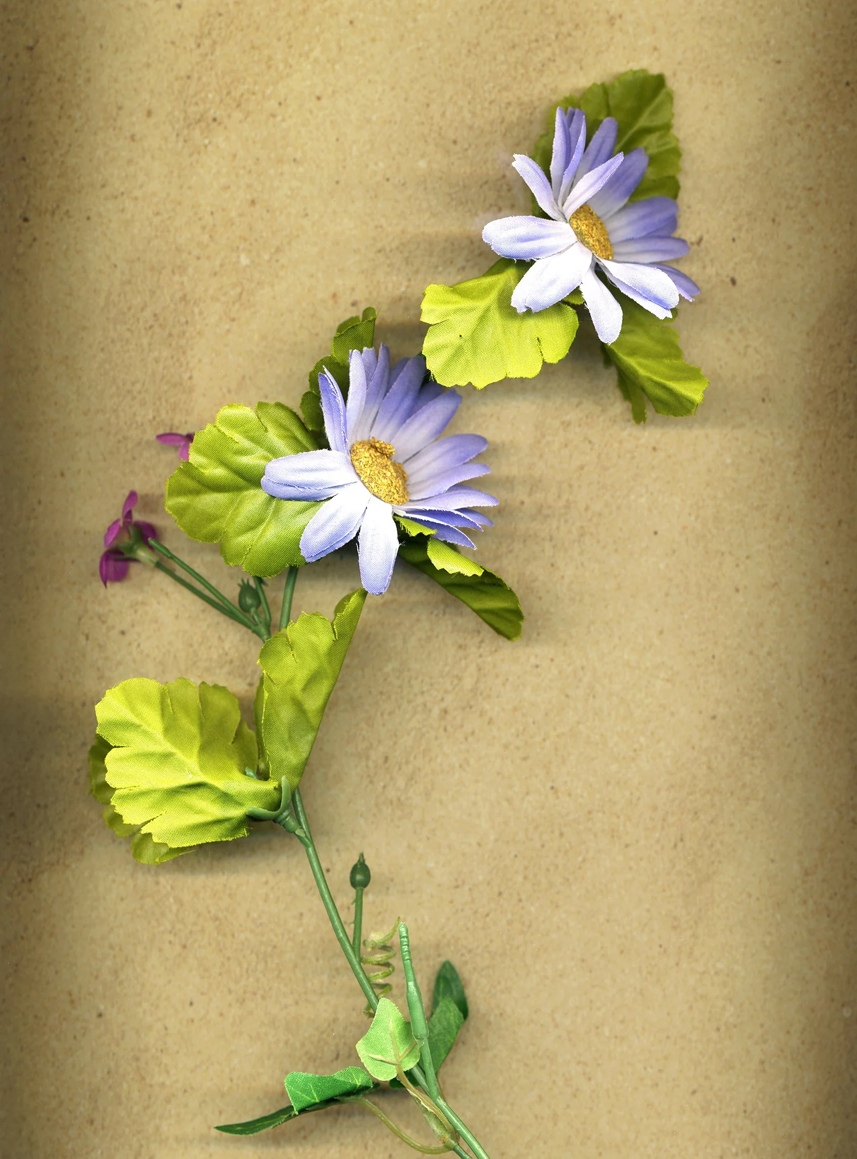 flower_texture_18_edit_web.jpg