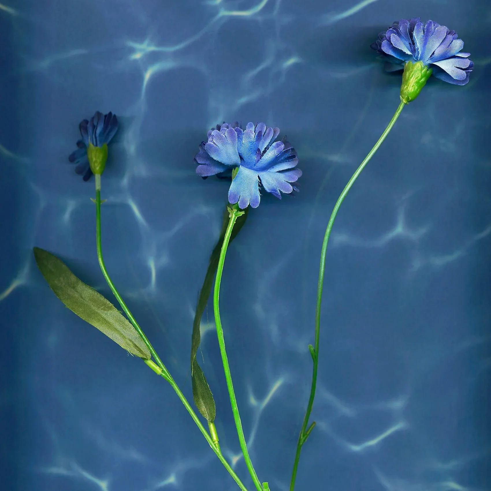 flower_texture_2.jpg