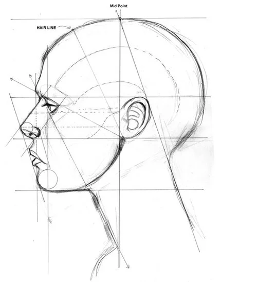 Facial_Anatomy.jpg