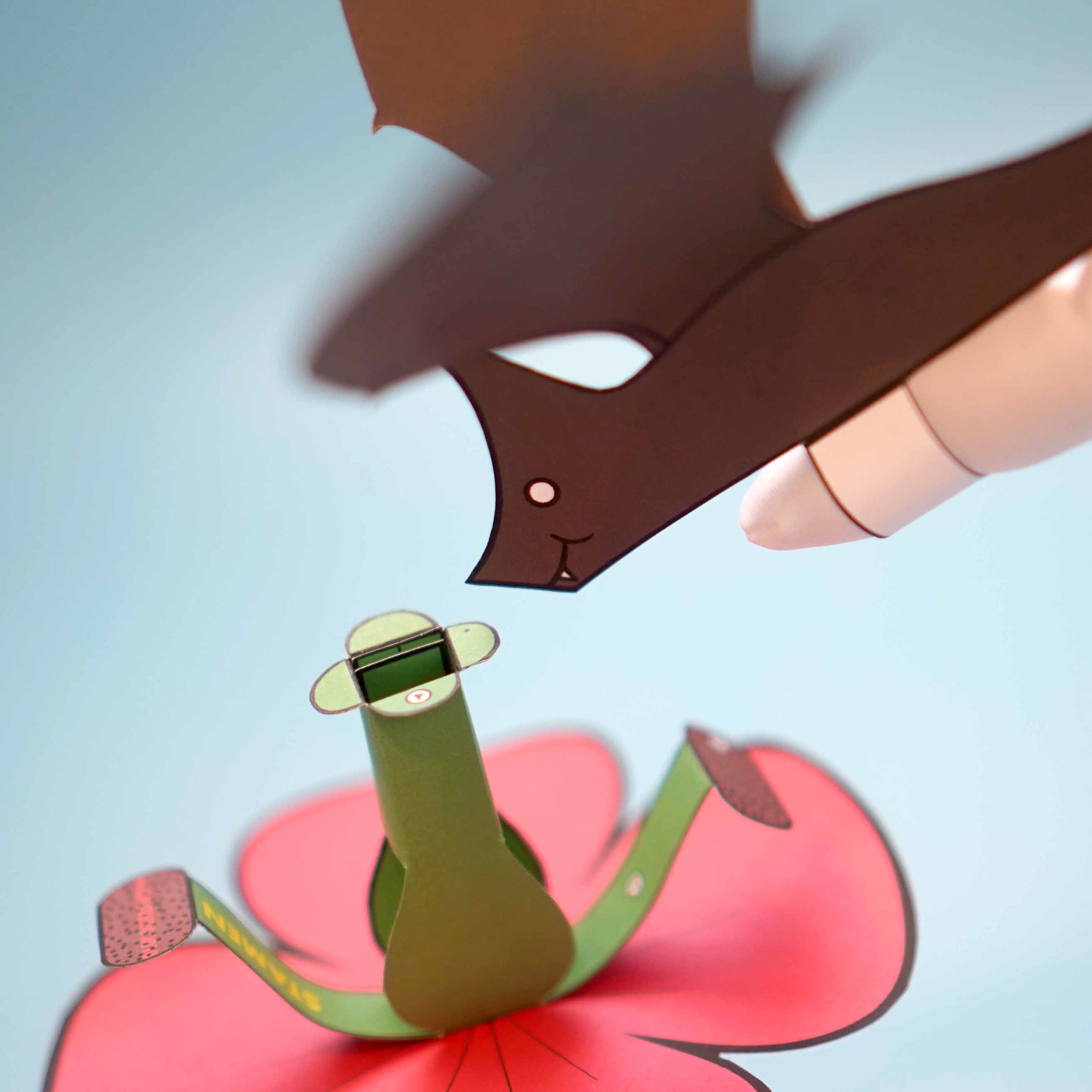PollinatorActivity3.jpg