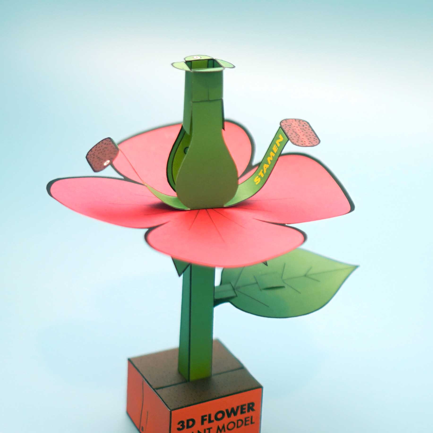 FlowerModel2.jpg