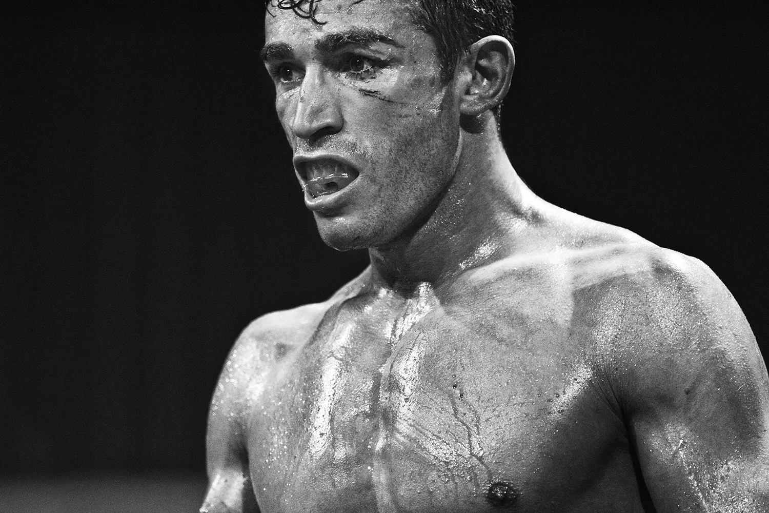 matteo_signani_01.jpg