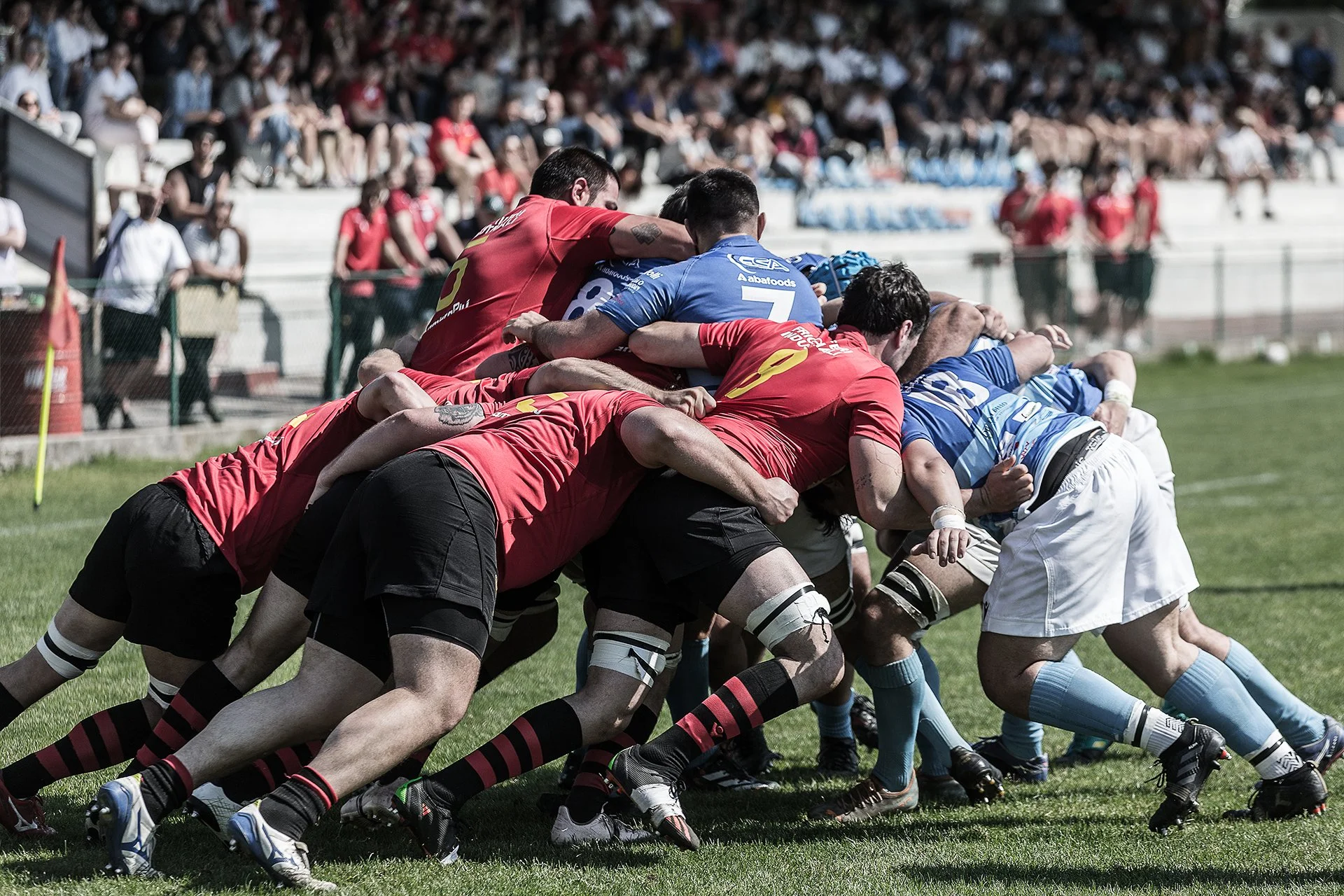 Romagna RFC - Patavium Rugby 14-34 — Sports Photography