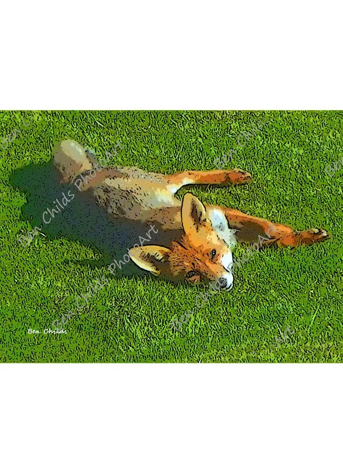 Foxcub