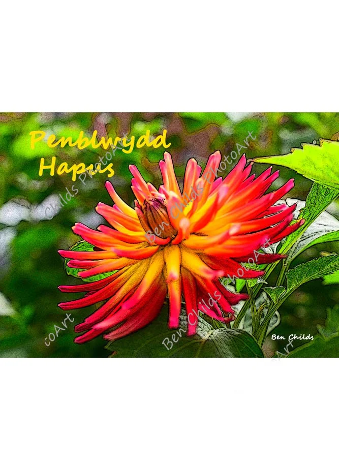 Penblwydd Hapus - Dahlia