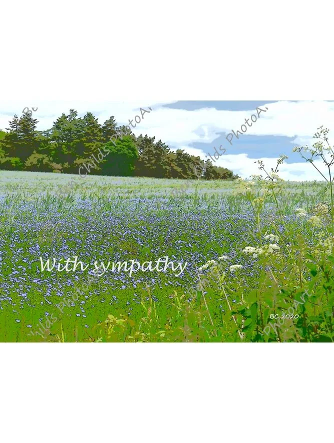 flax-field-sympathy-web-wm.jpg