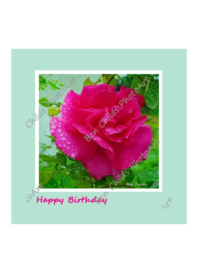 dewy-rose-bd-web-wm.jpg