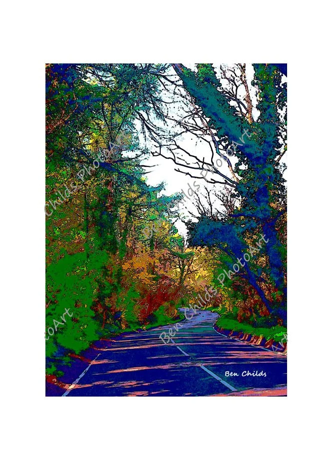 Leckwith Woods, autumn