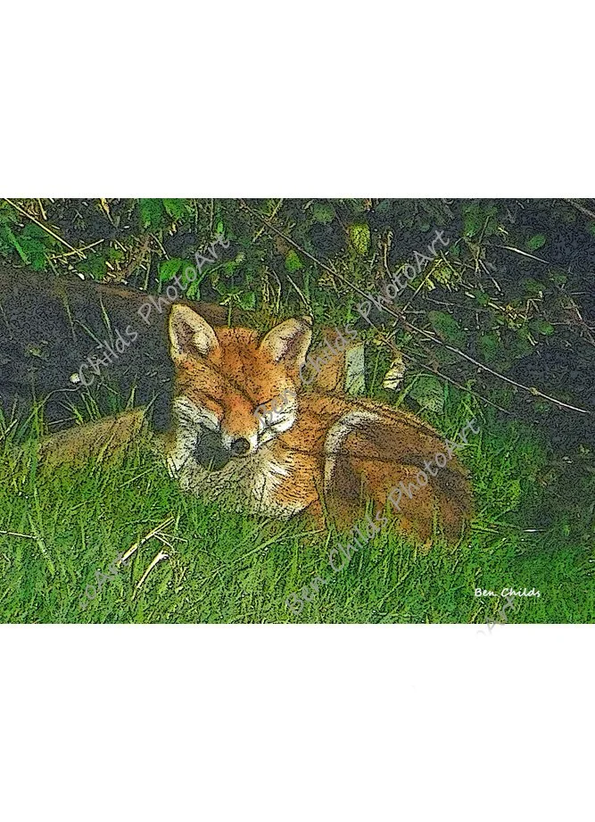 afternoon-nap-web-wm.jpg