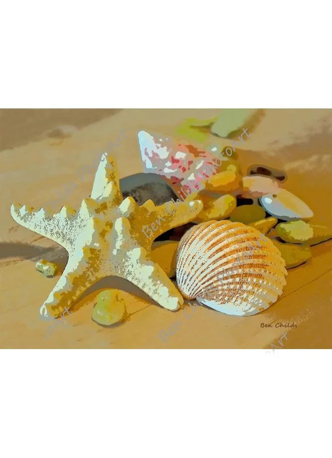 scattered-shells-web.jpg