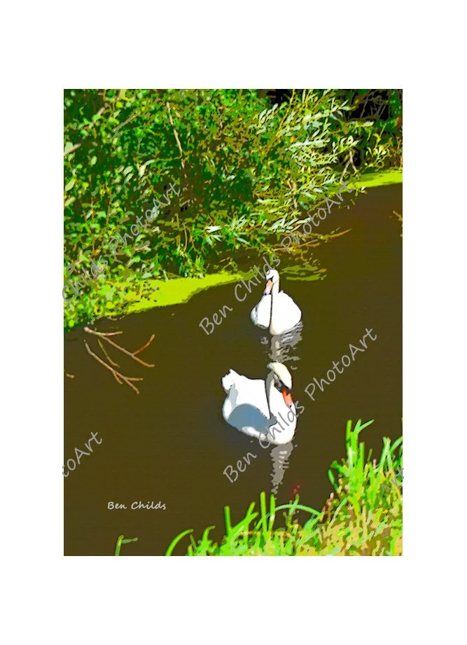 swans-gwent-levels-web-wm.jpg