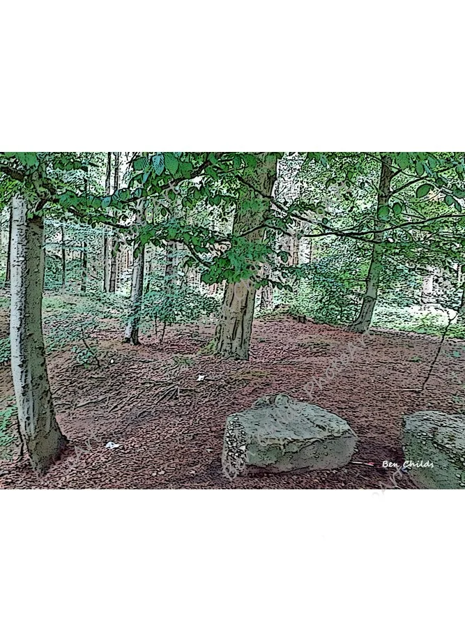 forest-of-dean-web.jpg