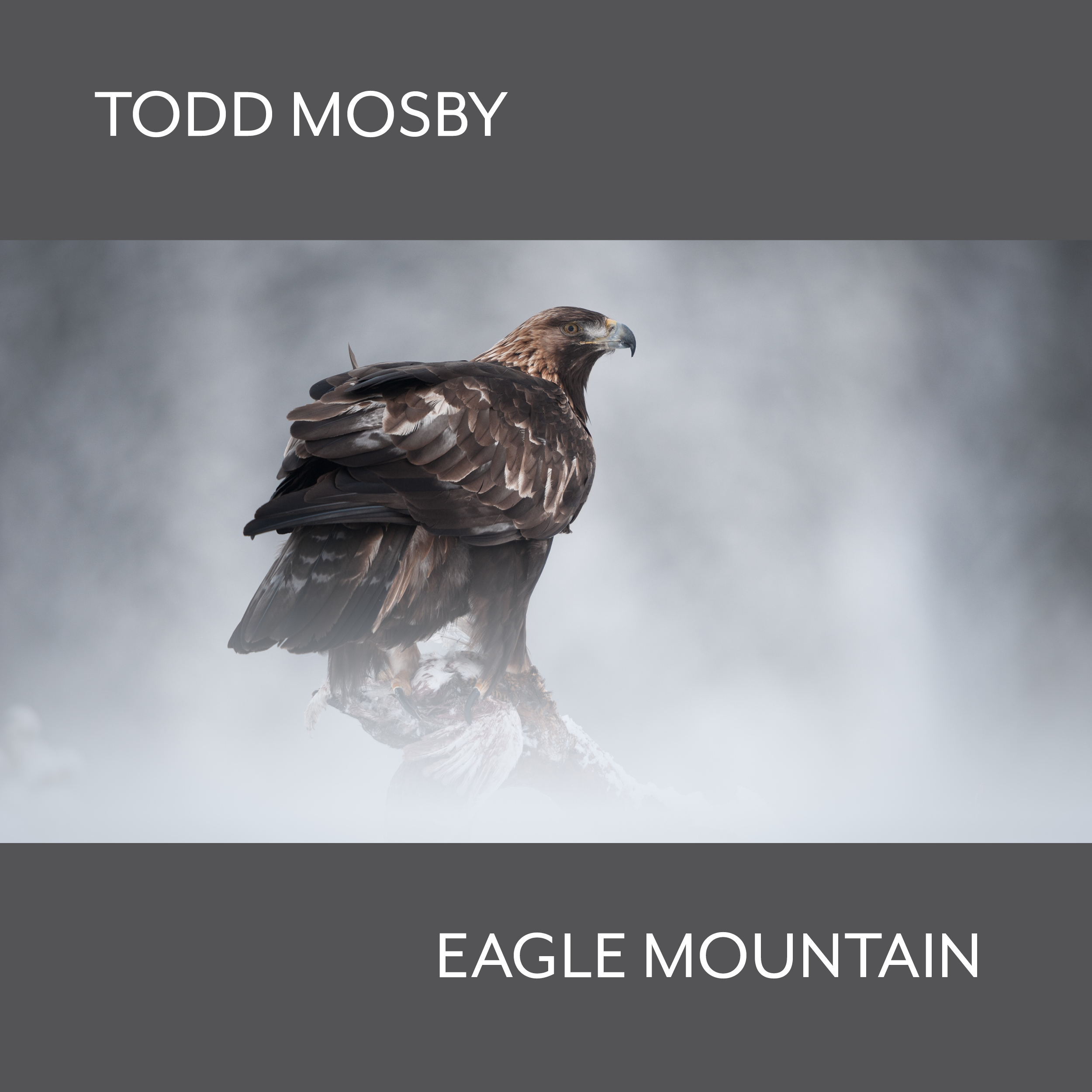EAGLE MOUNTAIN COVER ART .jpg