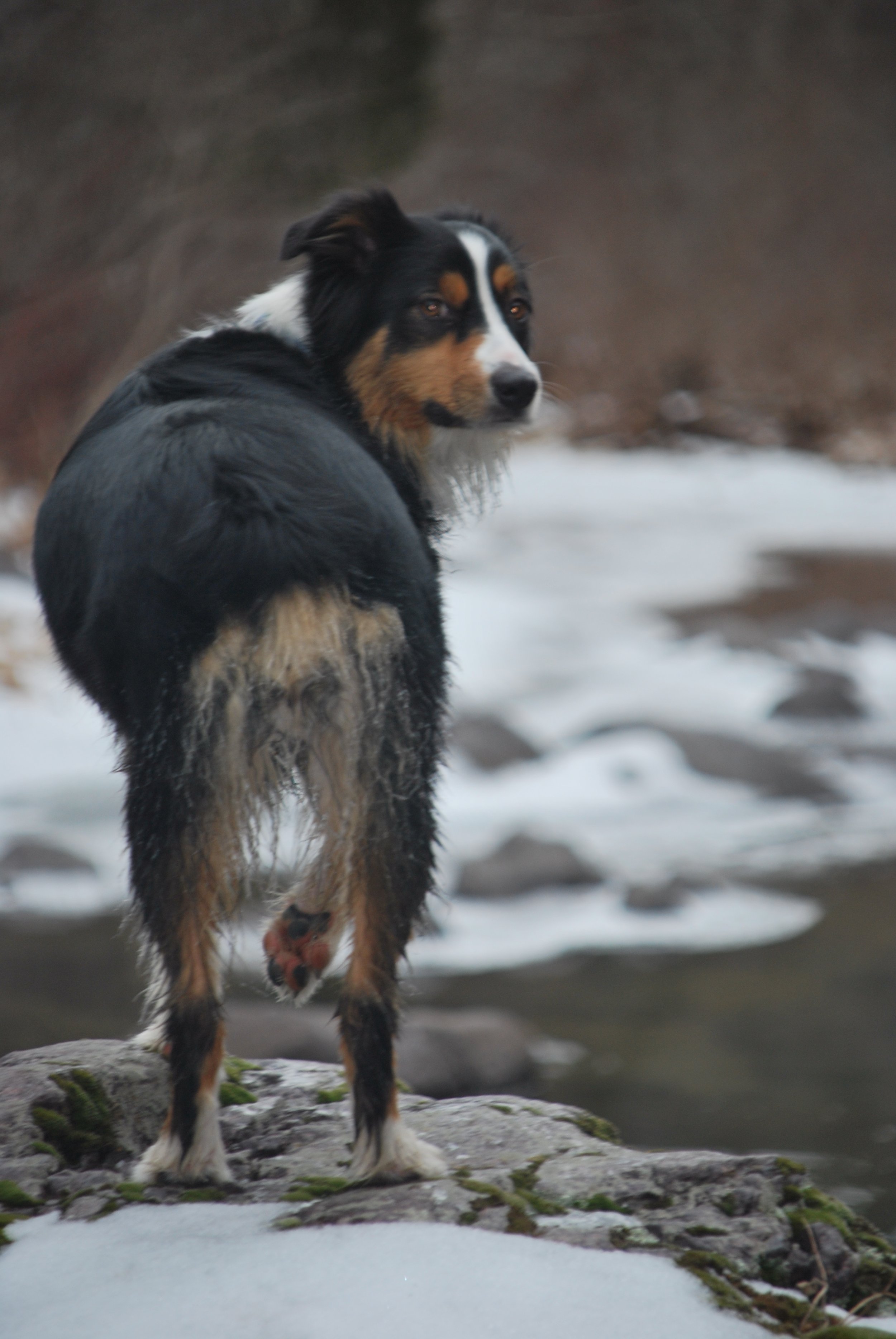 2014-02-15 14.57.49.jpg