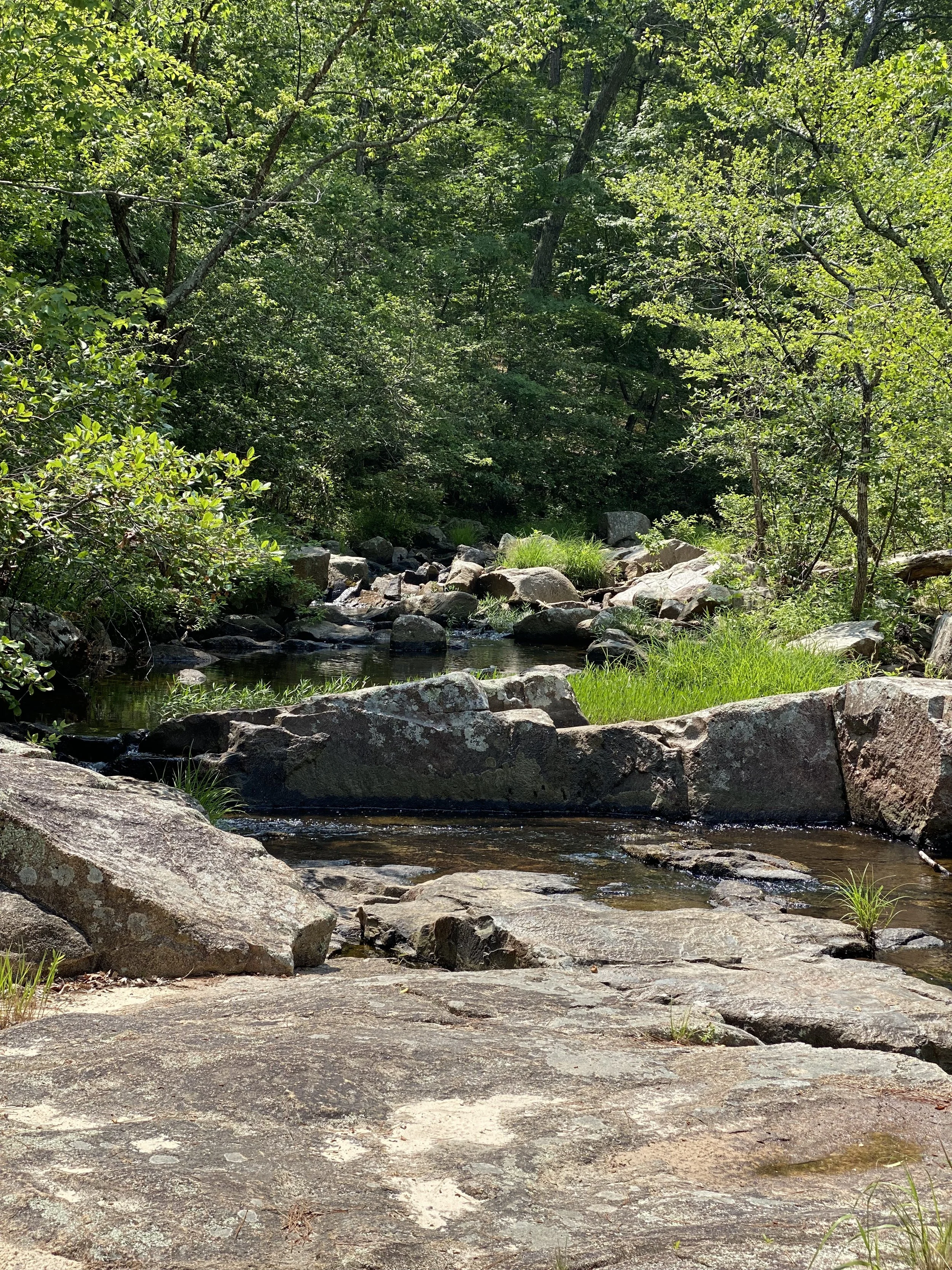 2023-06-10 10.38.20.jpg