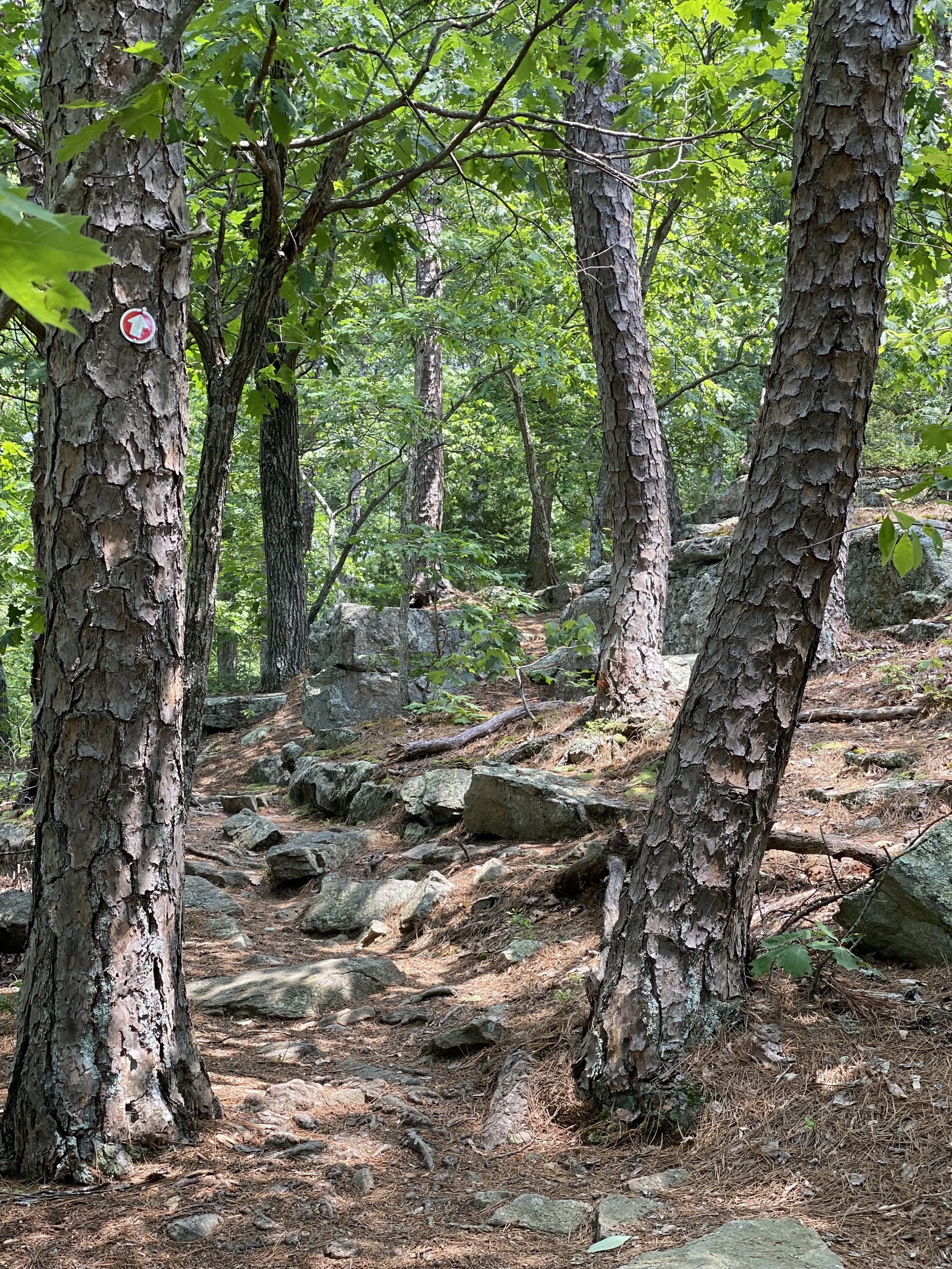 2023-06-10 12.40.38.jpg