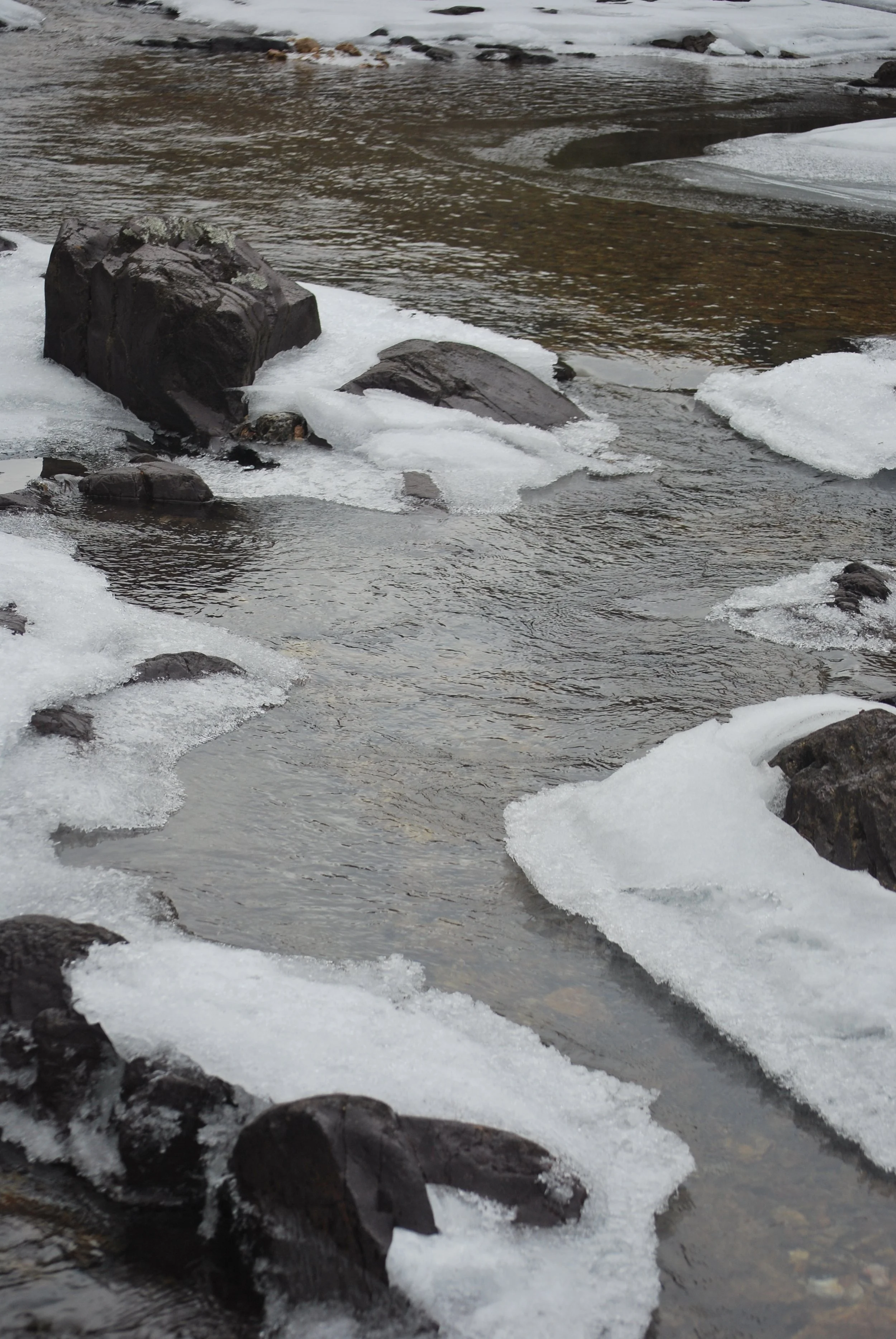 2014-02-15 14.56.46.jpg