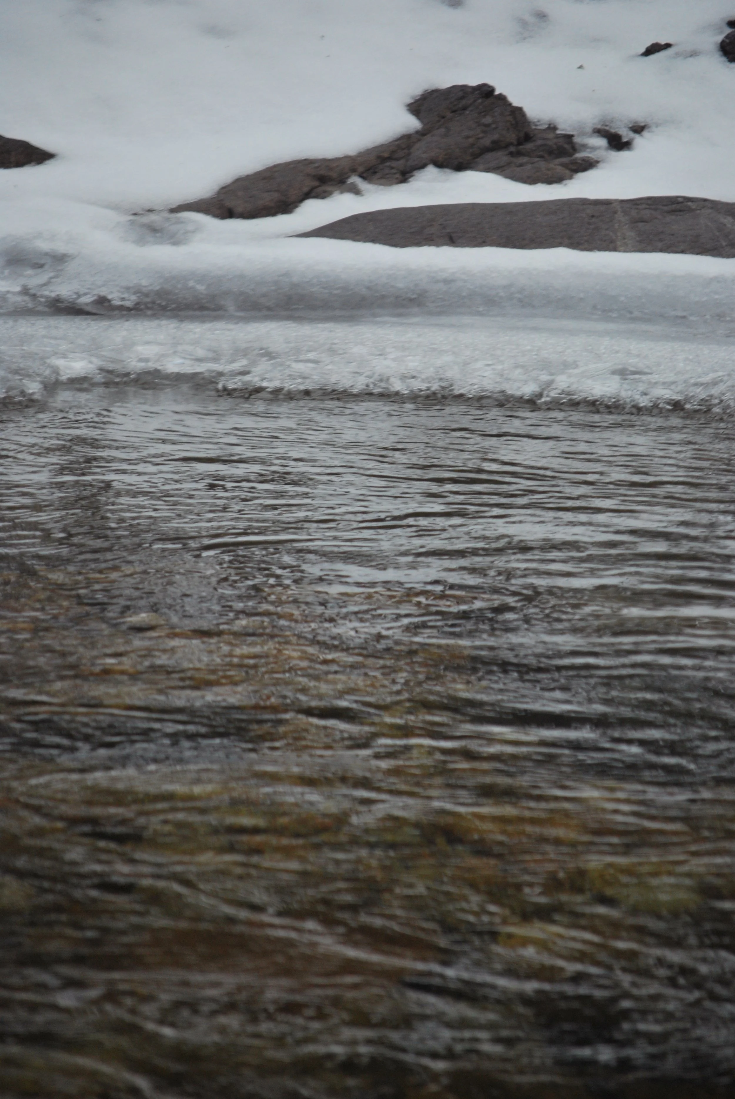 2014-02-15 14.58.58.jpg