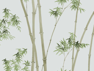 Bamboo-260101-320x240.jpg