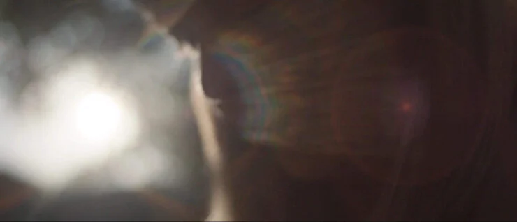 banner image.jpg
