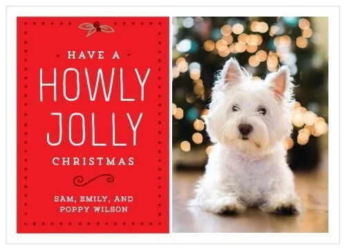 Howly Jolly Christmas Cards.jpeg