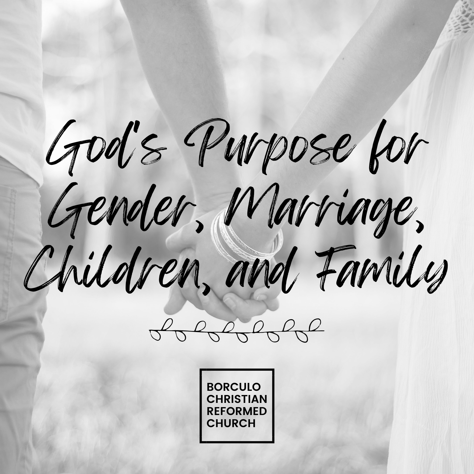 God's Purpose for Gender, Marriage, etc..png