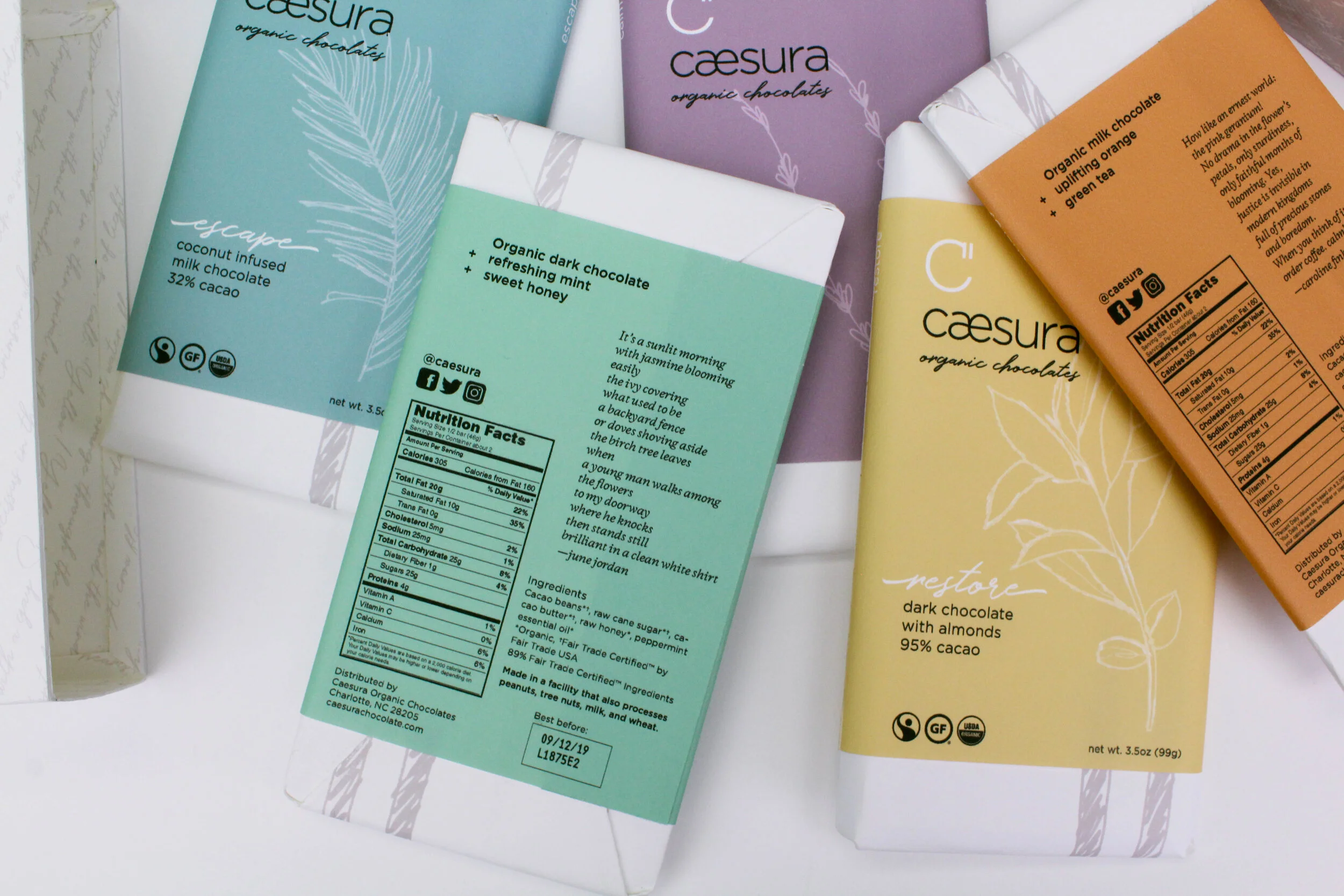 caesura new-42.jpg