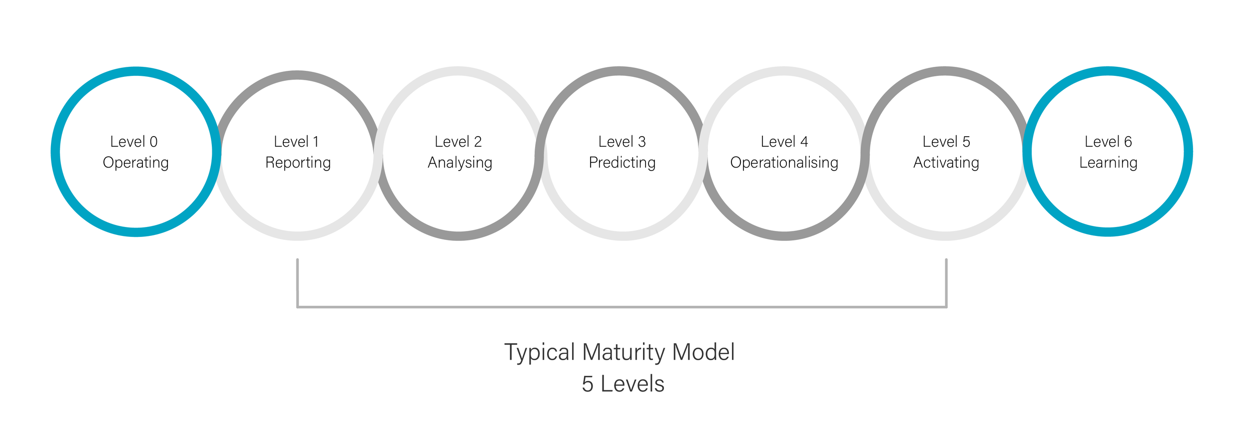 Maturity level chart