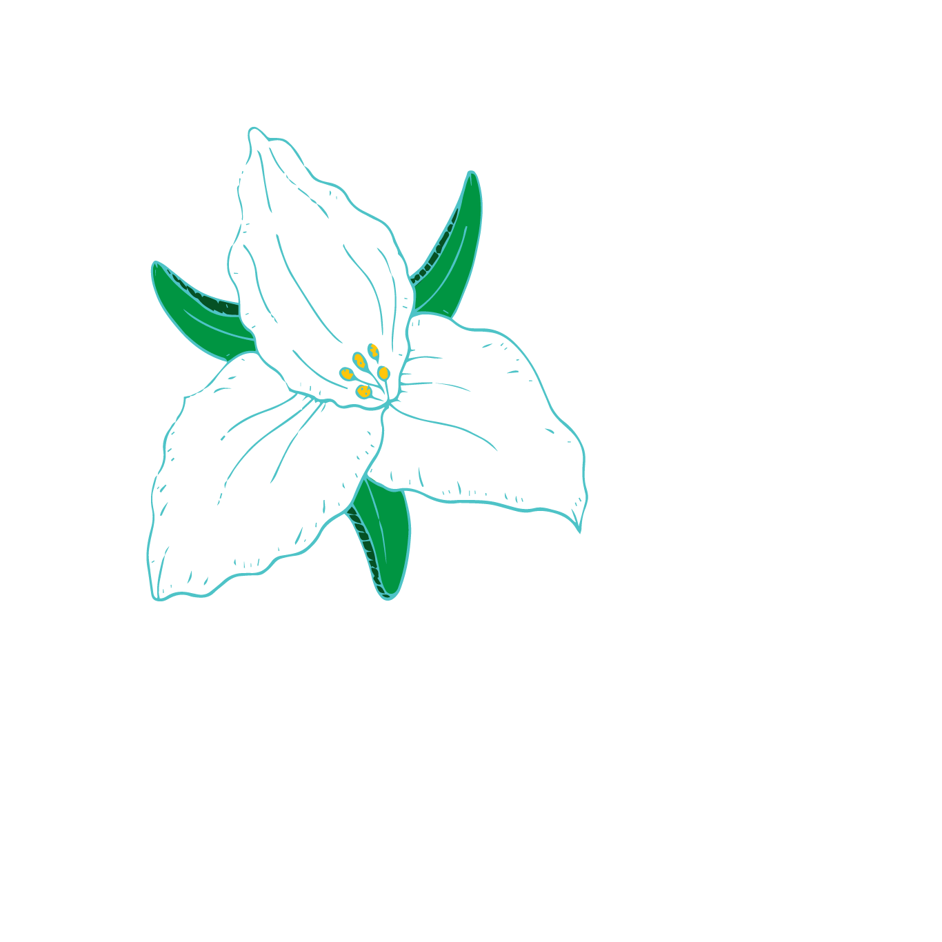 flower.gif