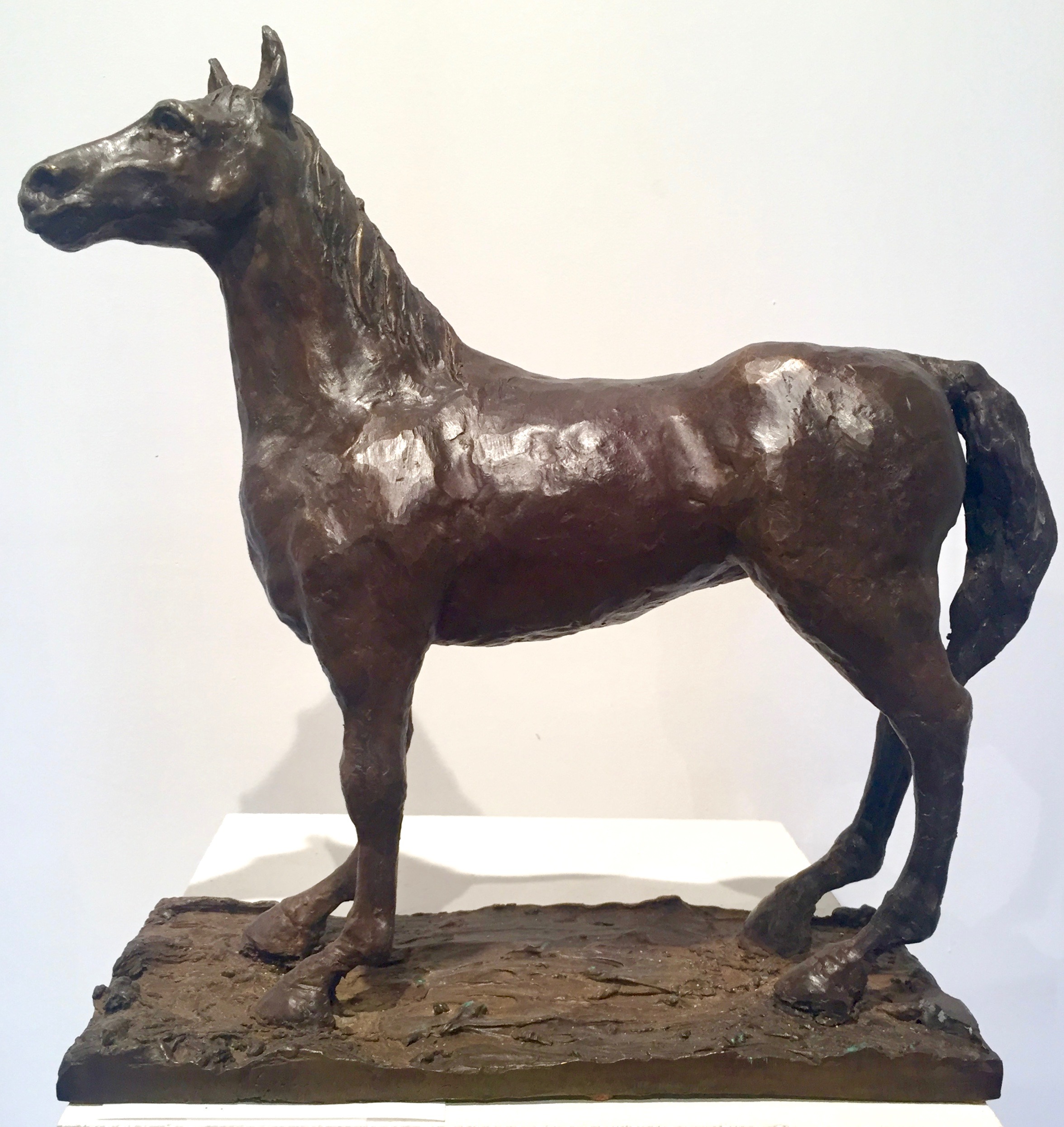Cheval $1600_1.jpg