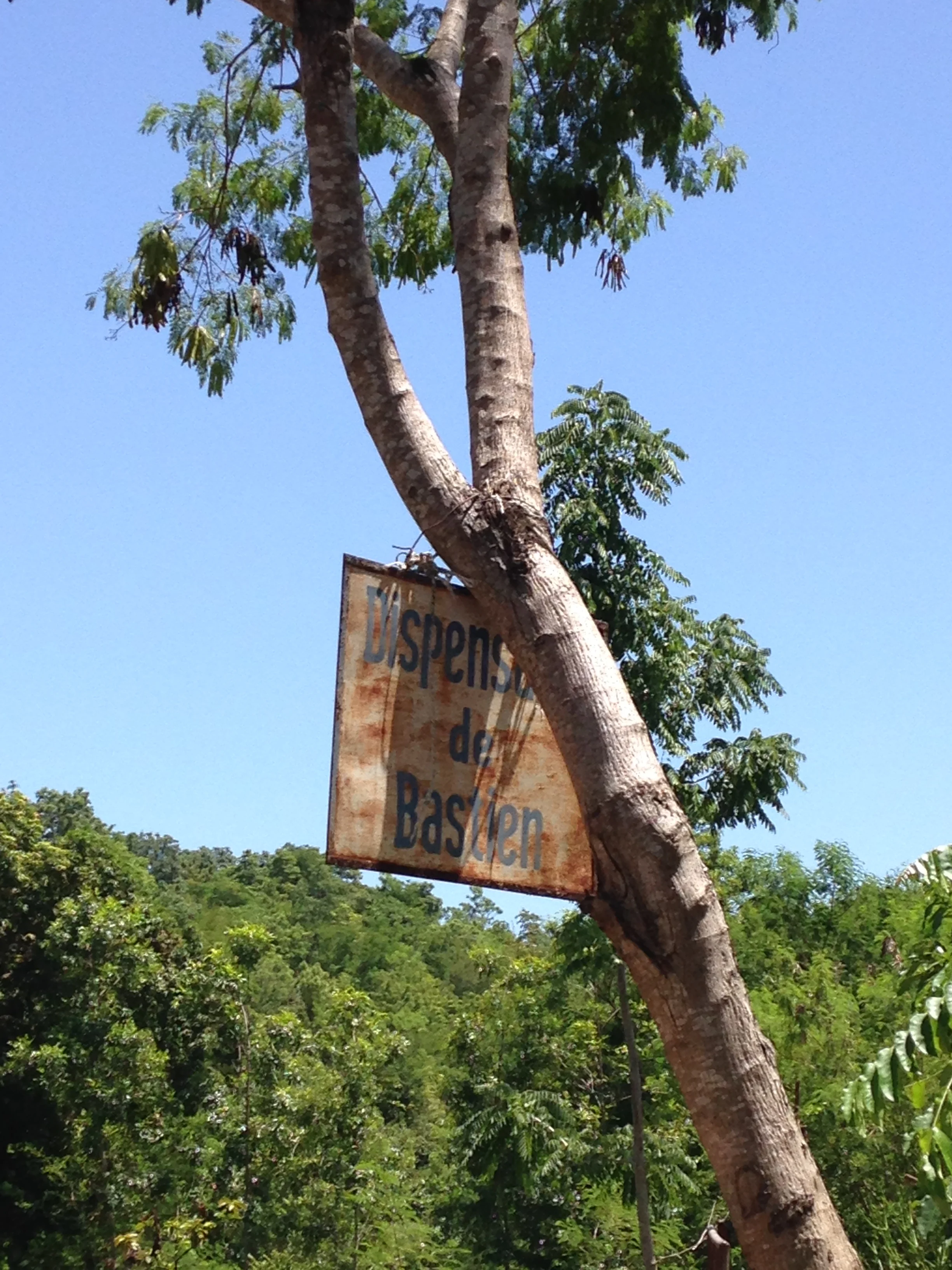 I washed my hands, did you ?