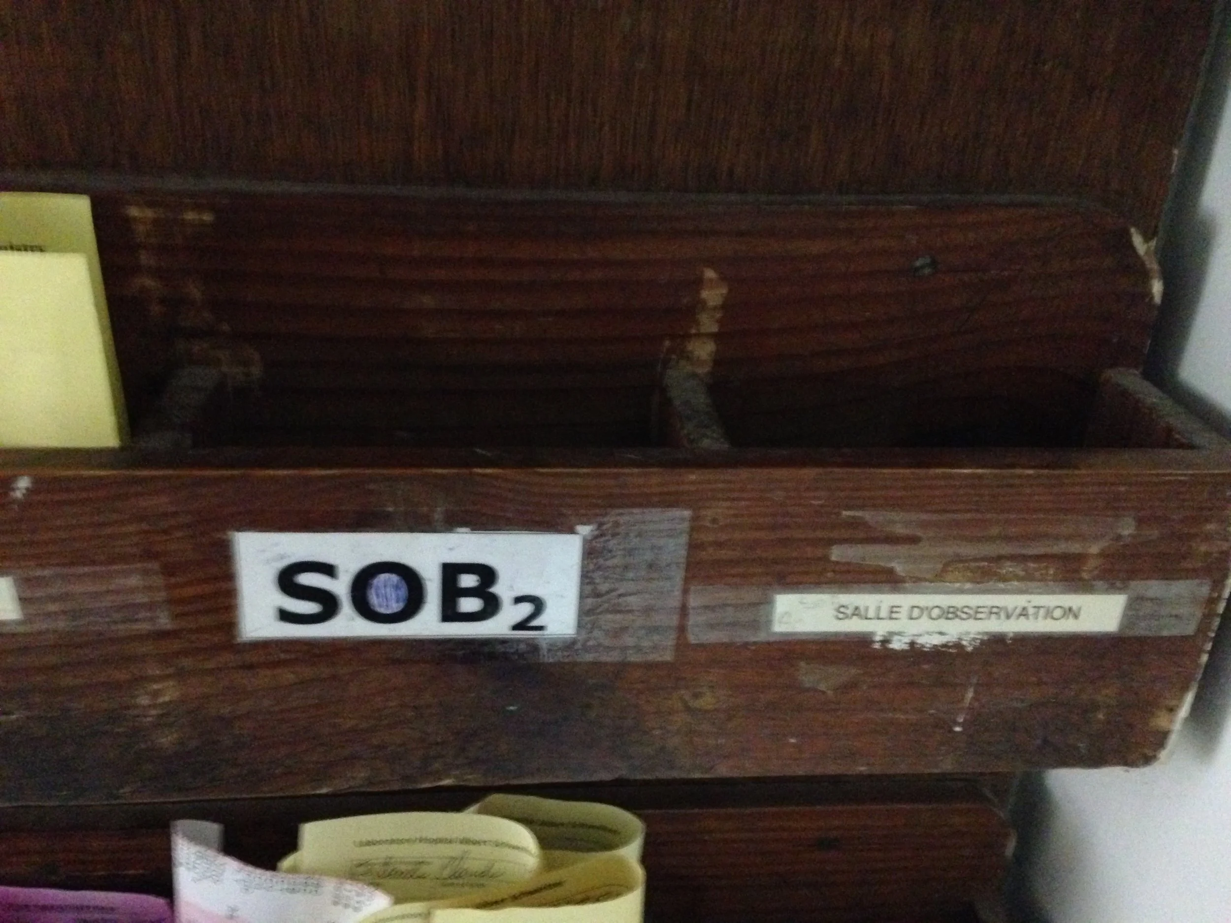 When the entire world is a "Salle de Observation"