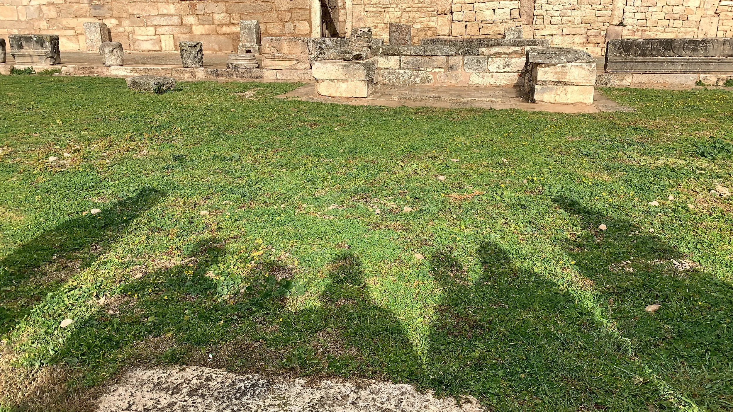 The Art that Nature Paints