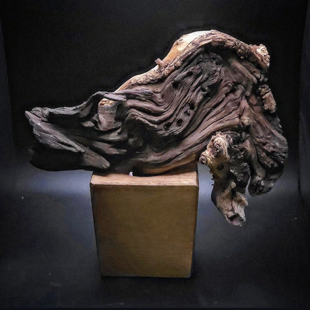 8543.jpg