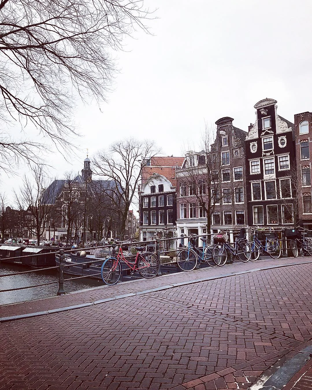 IMG_7988.jpeg