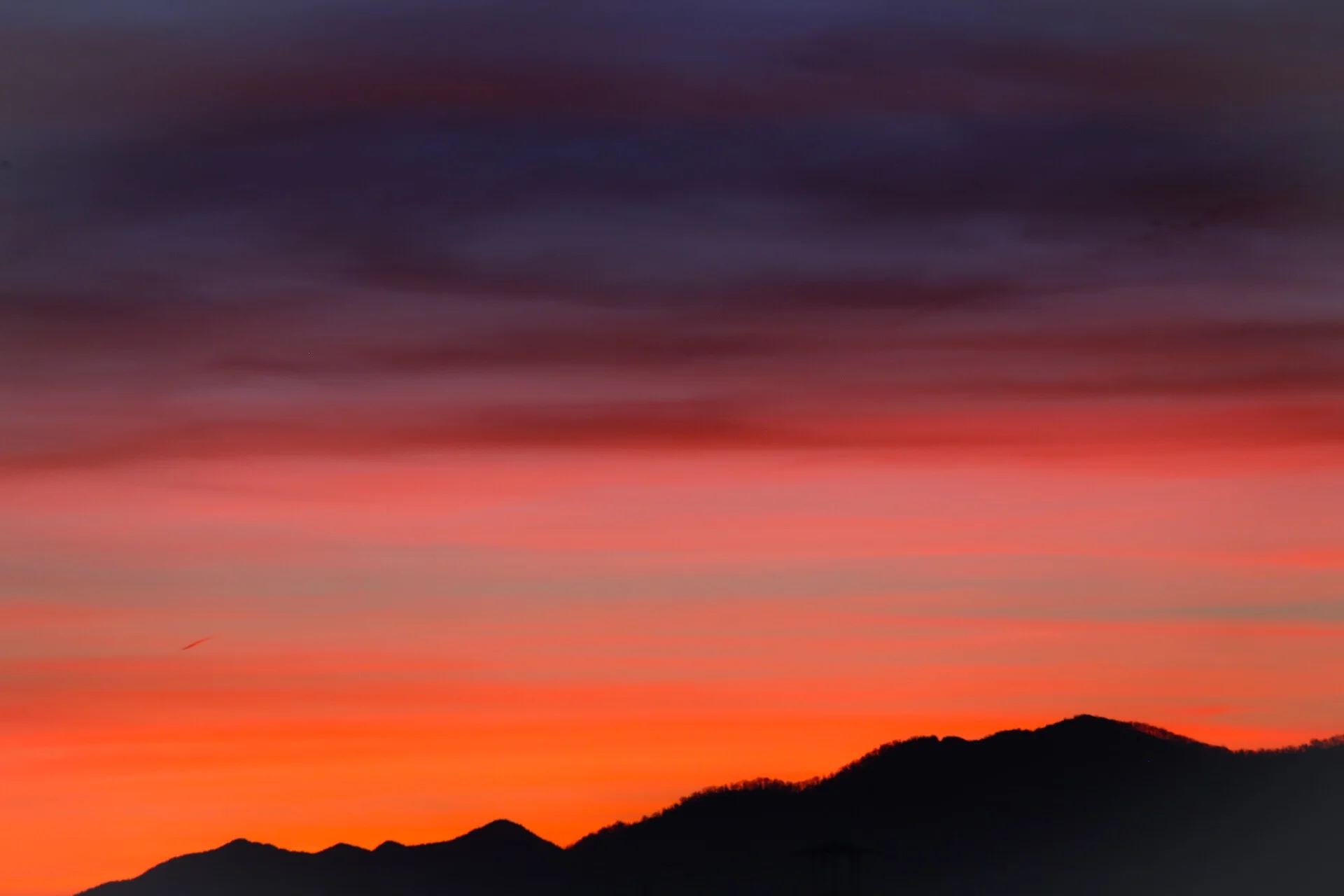 E57EF7AD-76B7-49FD-846E-D2FB62171375.jpeg