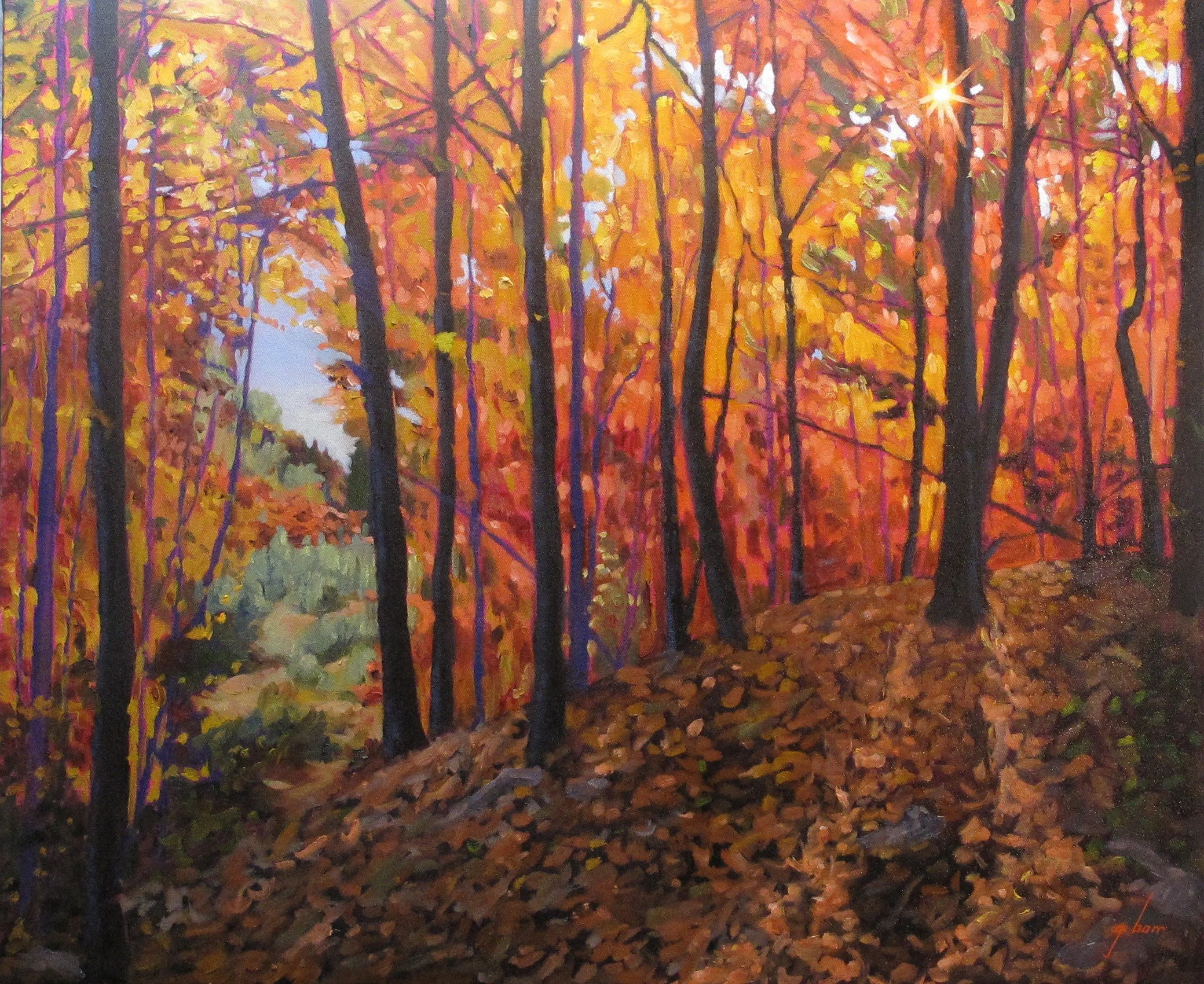Autumn Grandeur - Gary Barr.JPG