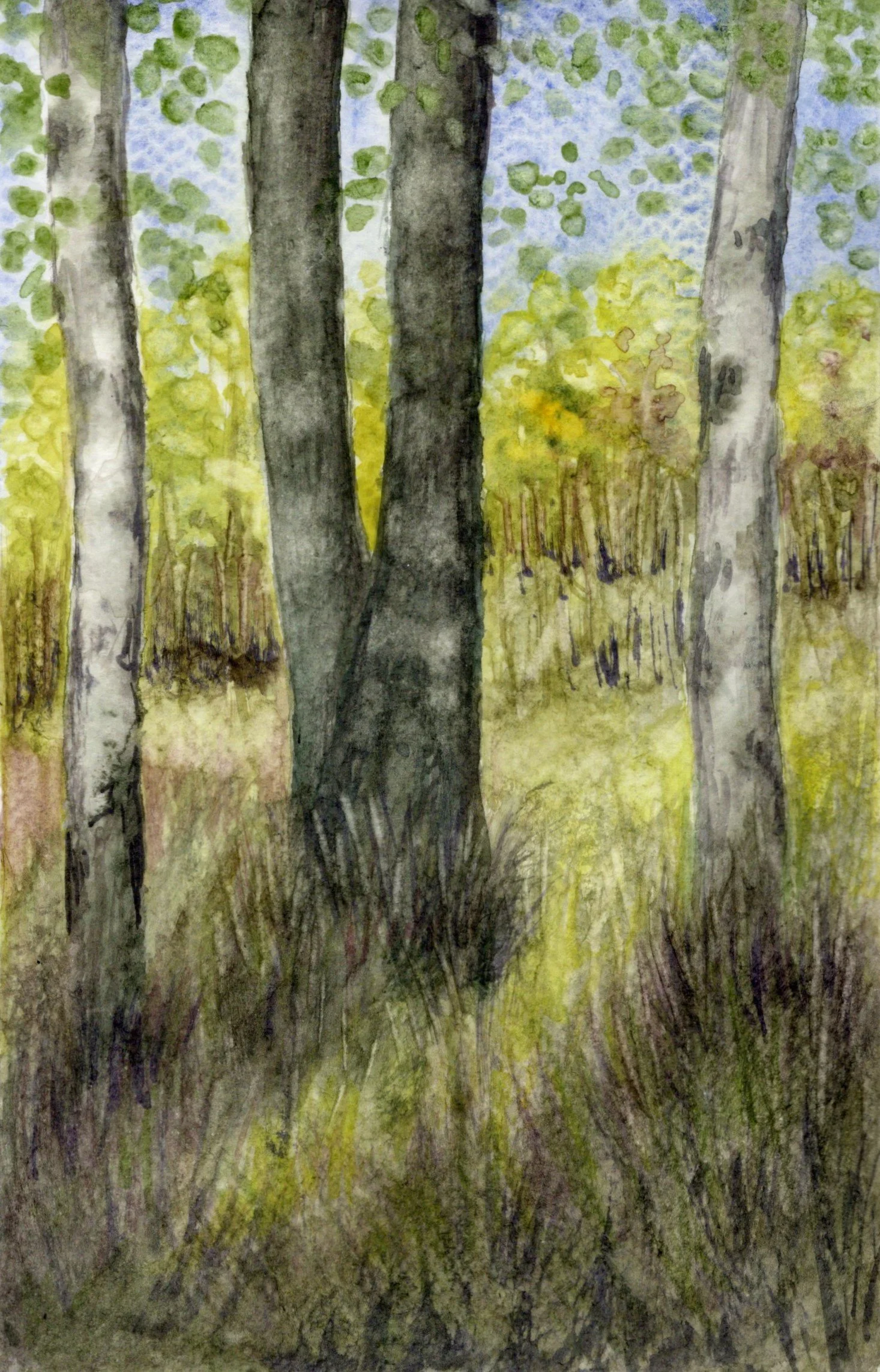 Schamehorn_Brenda_2 - Brenda Schamehorn.jpg