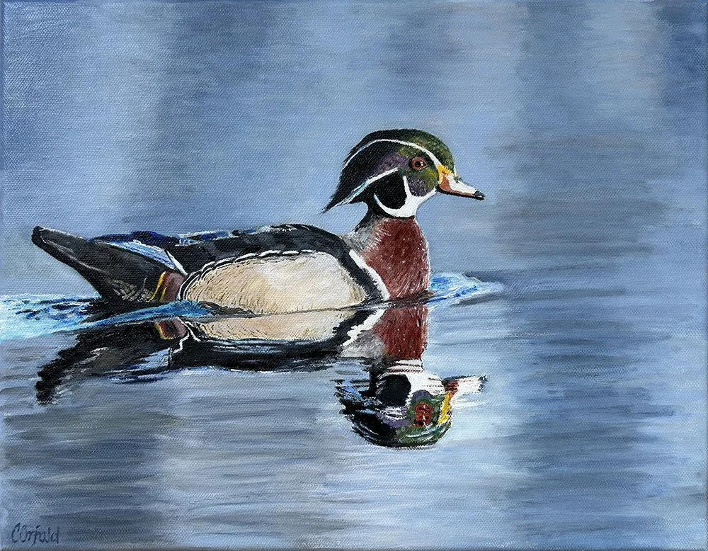 Orfald_Catherine_WoodDuckDrake - Catherine Orfald.jpg