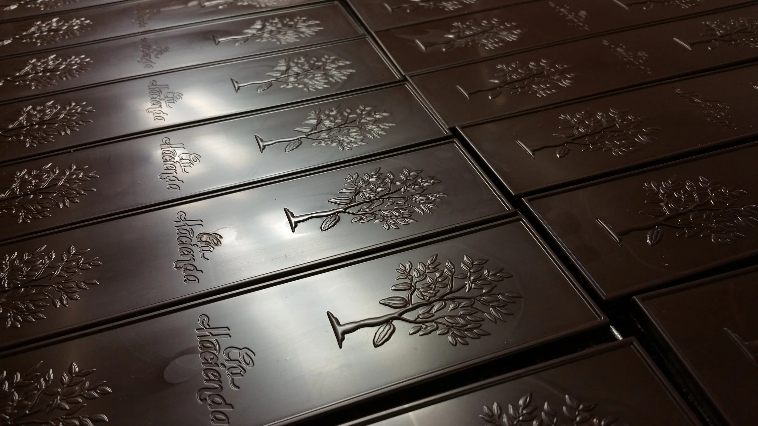 organic chocolate - Ludwig Ratzinger.jpg